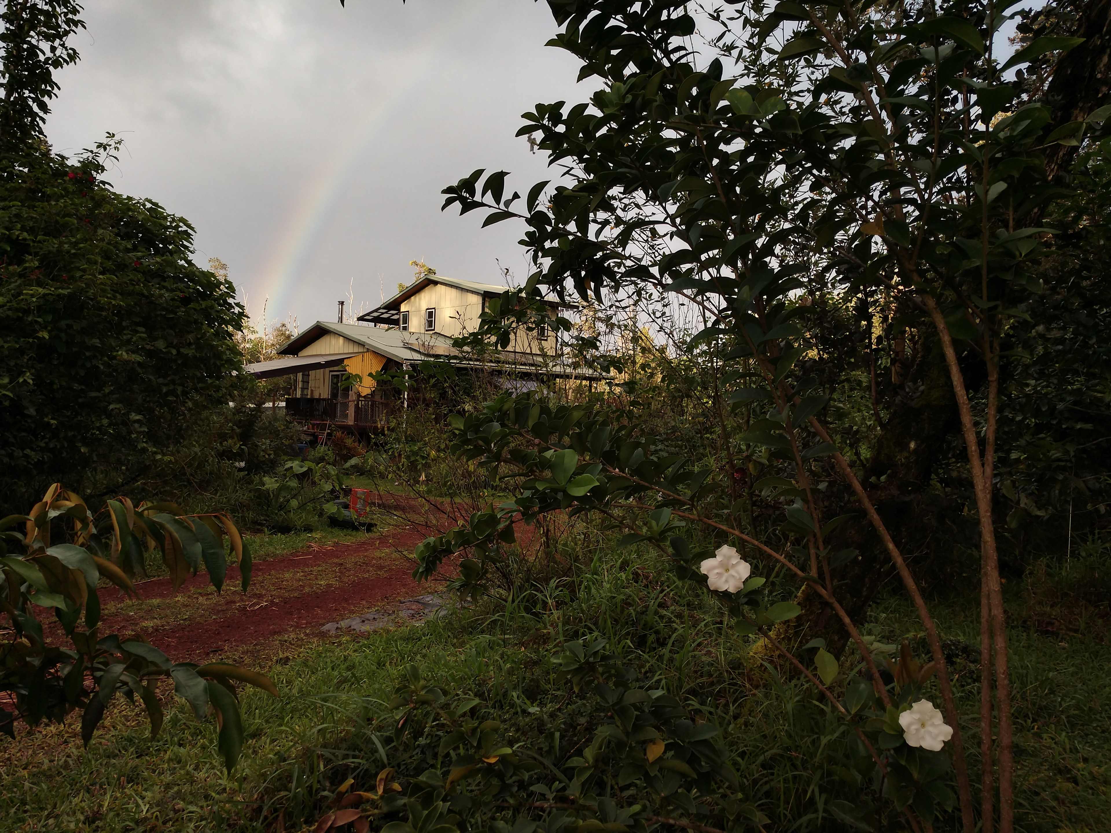 Faris' Farm