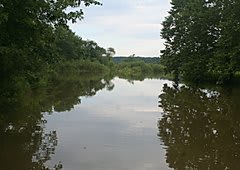 D'Ranch at Clearwater
