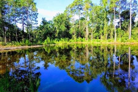 Our fully stocked fishing pond in the back of our property.  ( Please note catch and release only)  There is also table and chairs next to it if you want to sit and relax.
