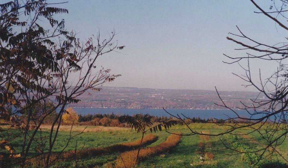 Seneca lake as seen from the farm
