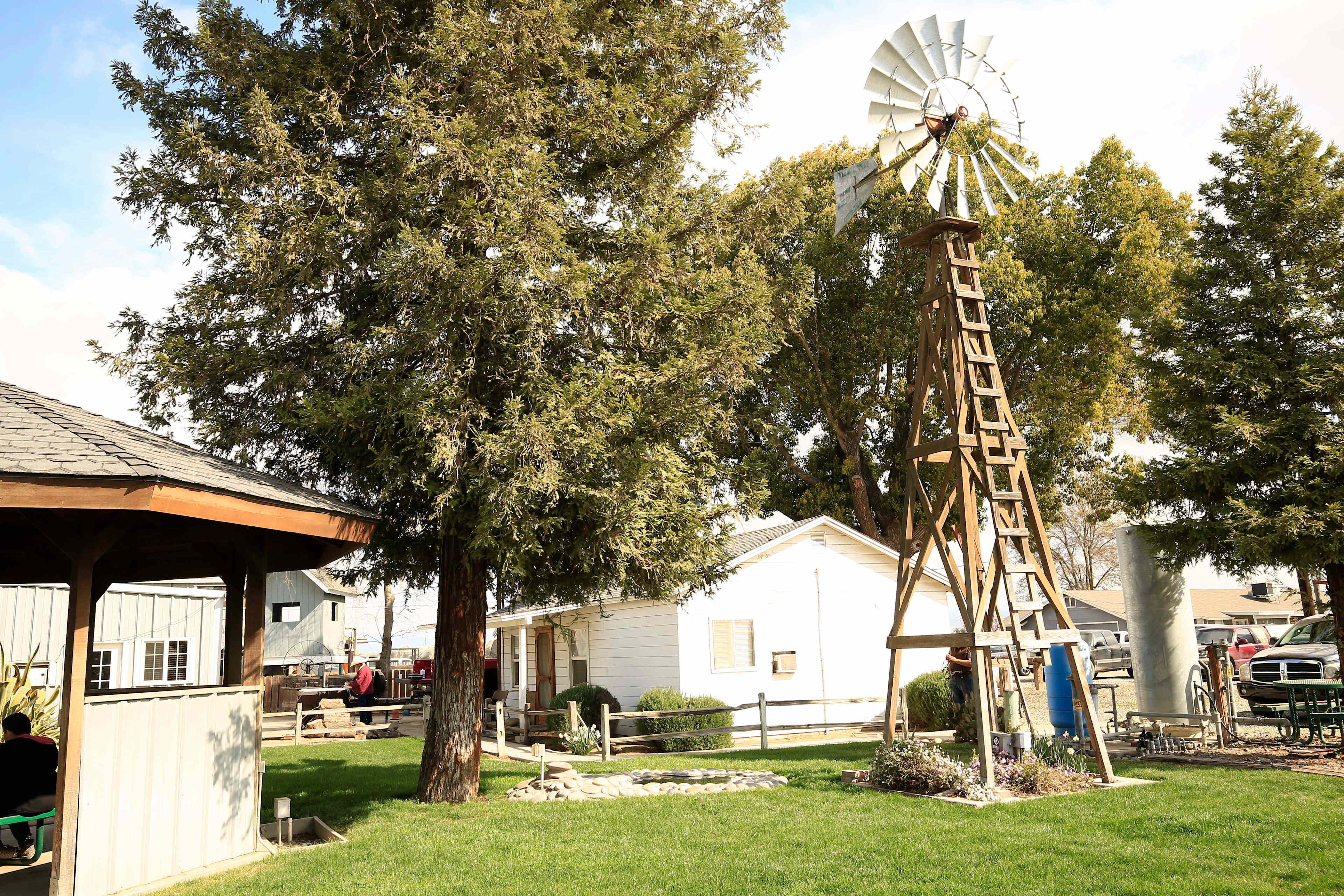 Cowboy Land & Livestock