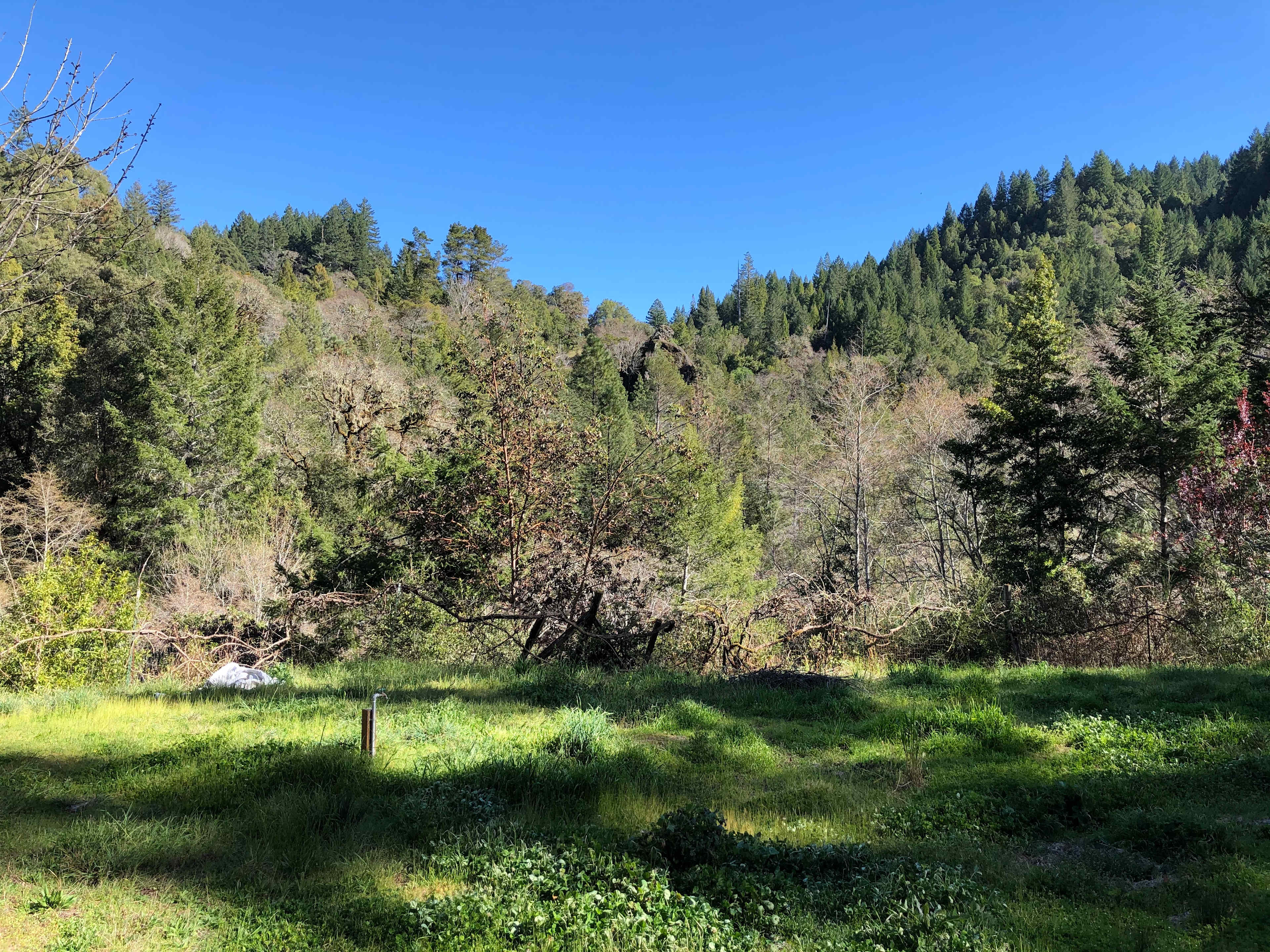 This is the general area you are to set up camp.