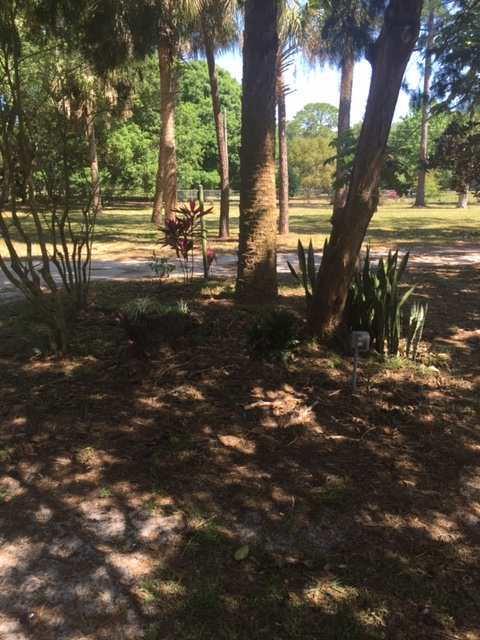 Country Setting Camp