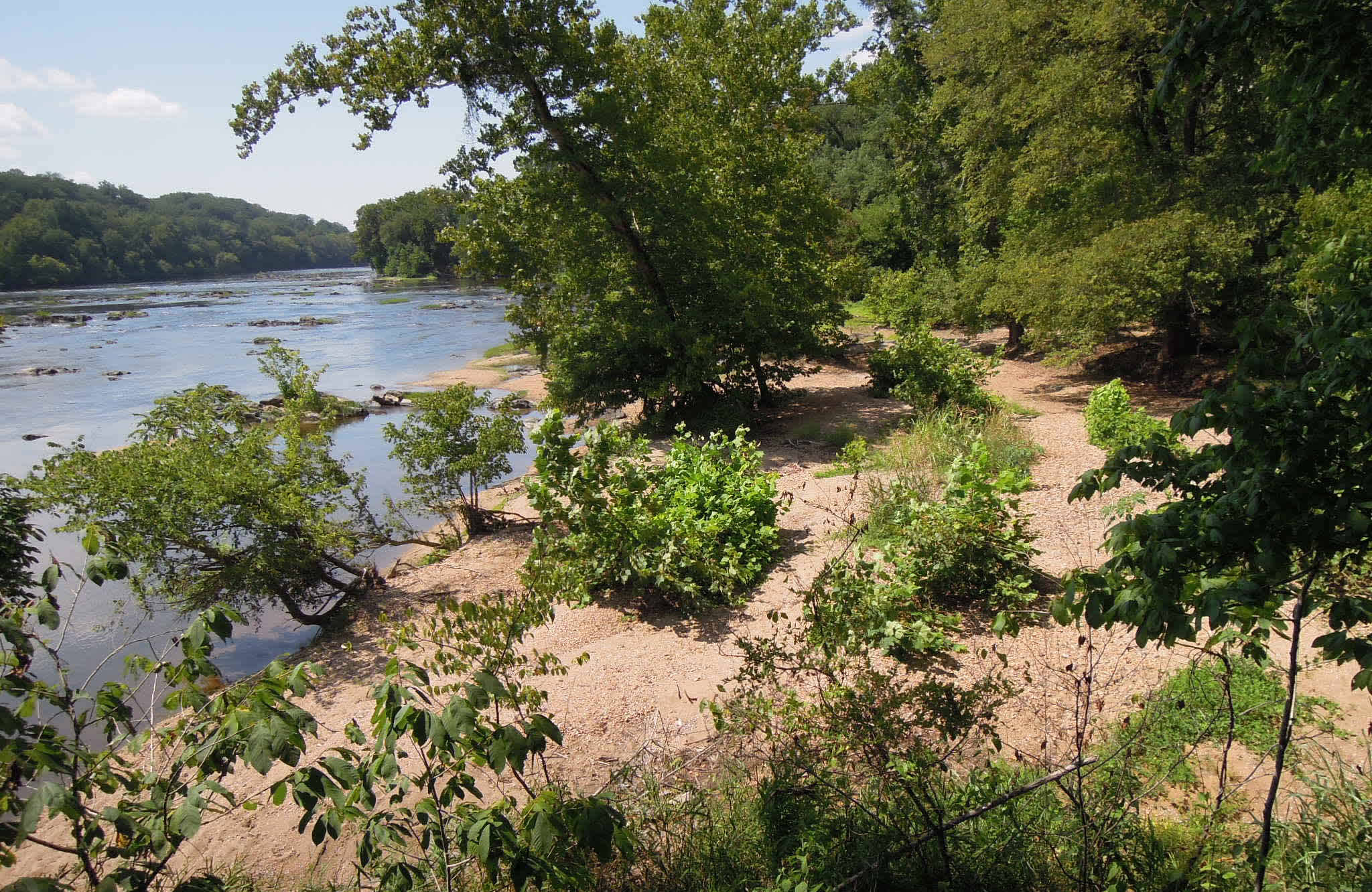 Overlooking Campsite  1  with a view upstream.