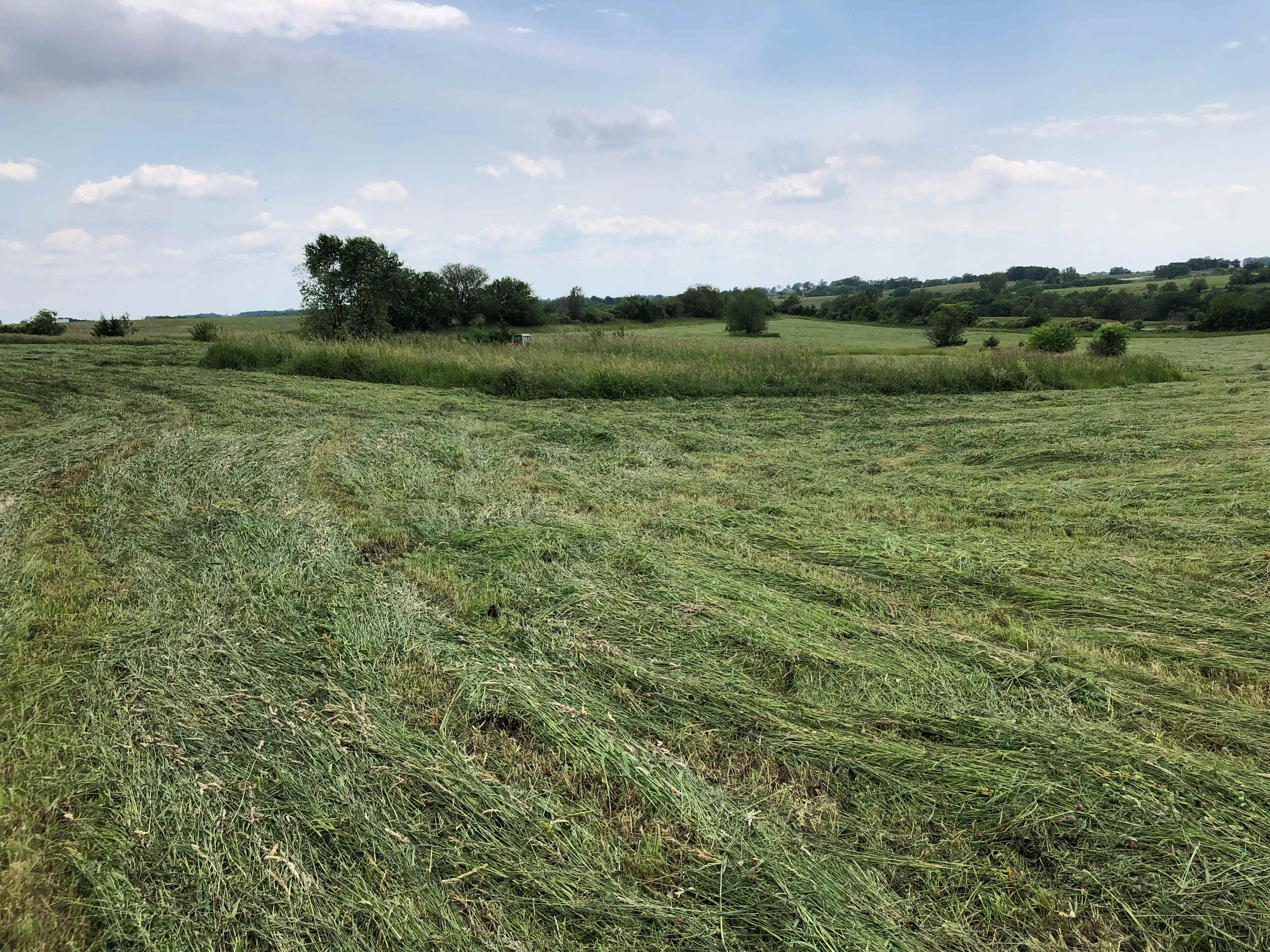 Green Grass Farms Camping