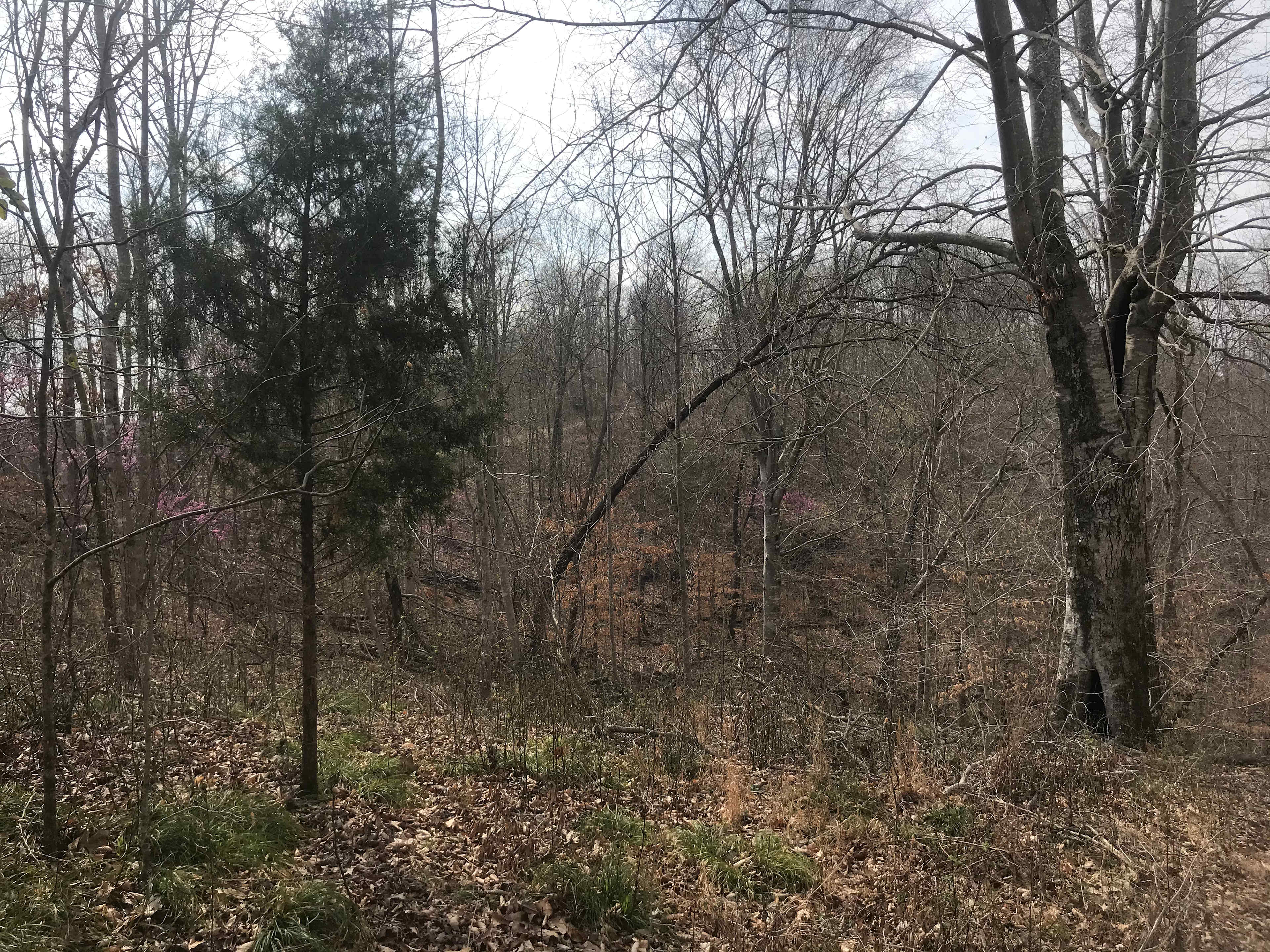 Flora and Fauna Camp