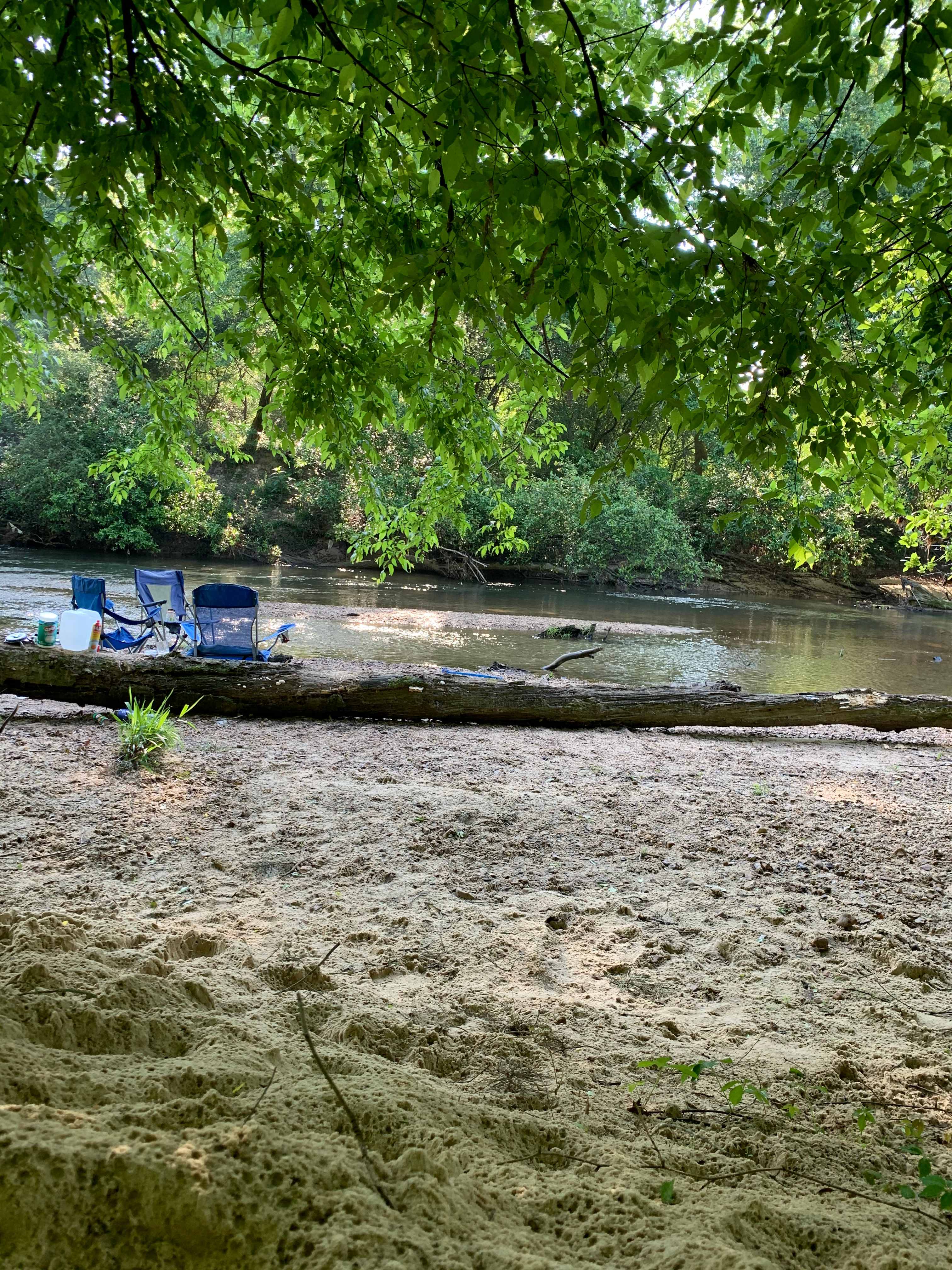 Picture of the site