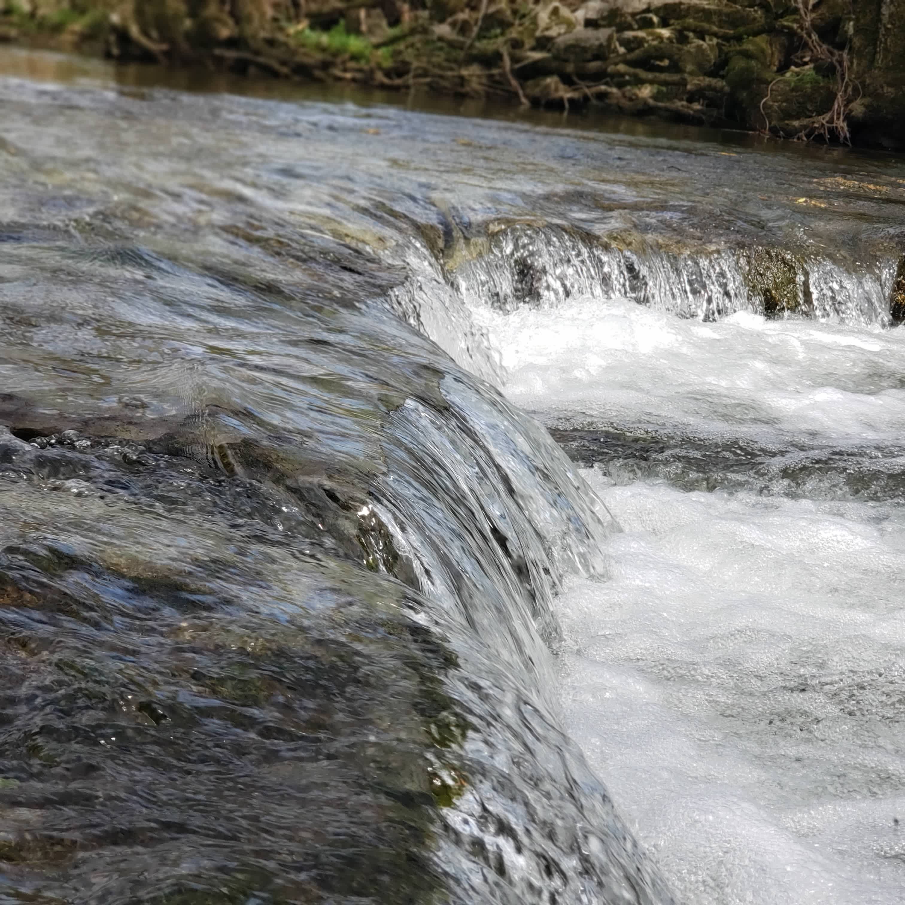 Our creek has a mini waterfall