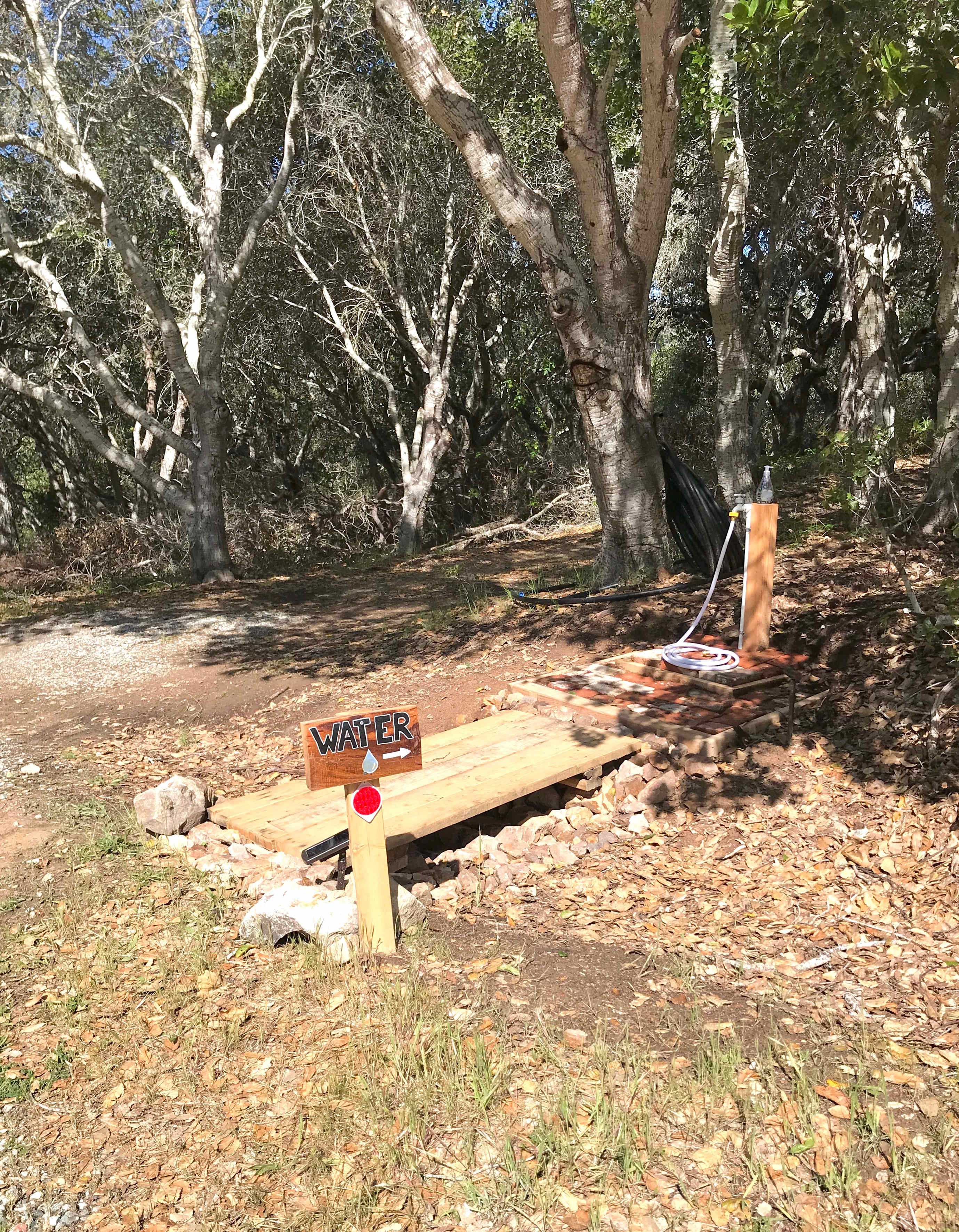 Picture of the site