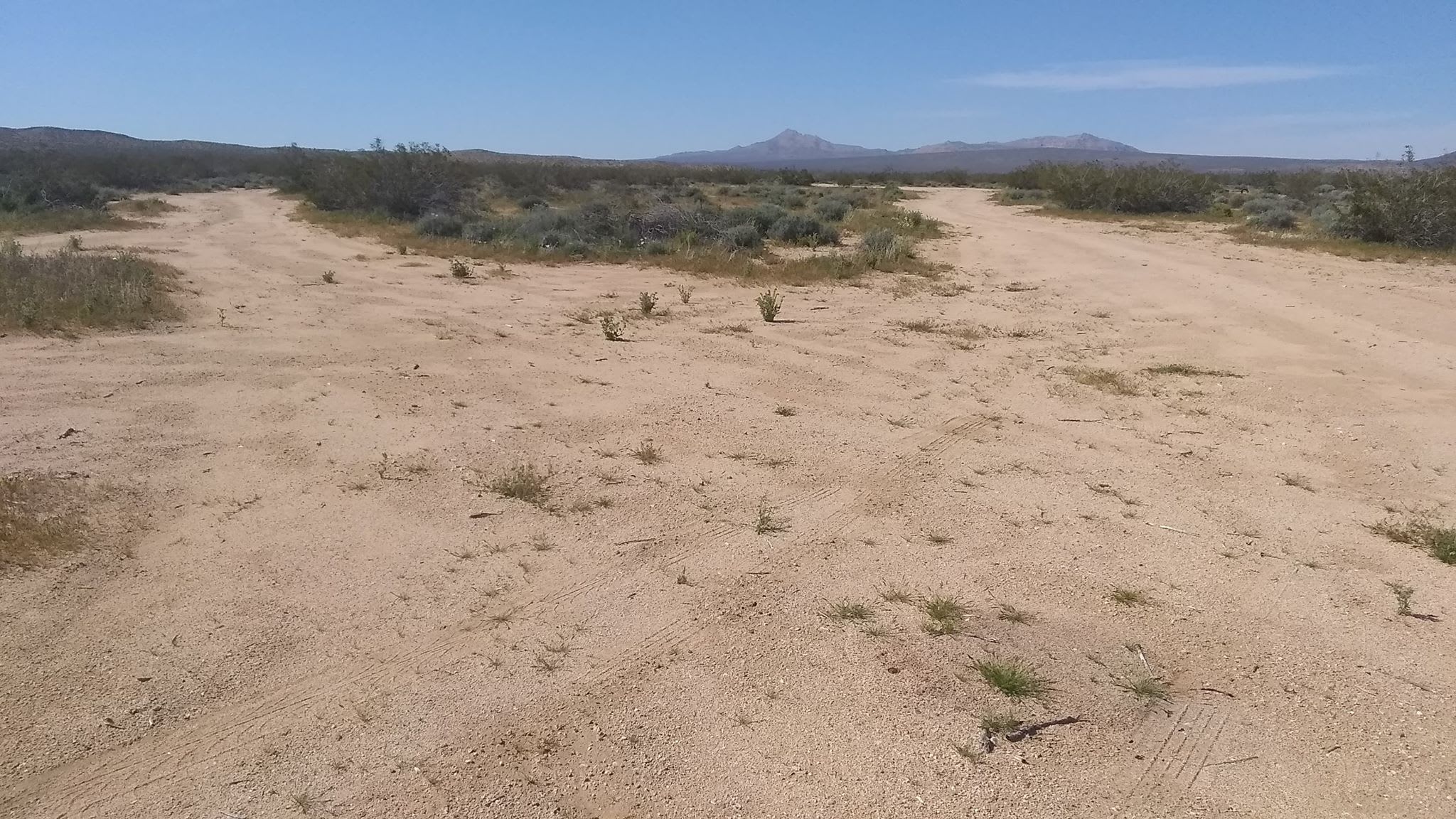 Plenty of "Pull-Through RV/Trailer Camping" throughout. That's Fremont Peak in the background.