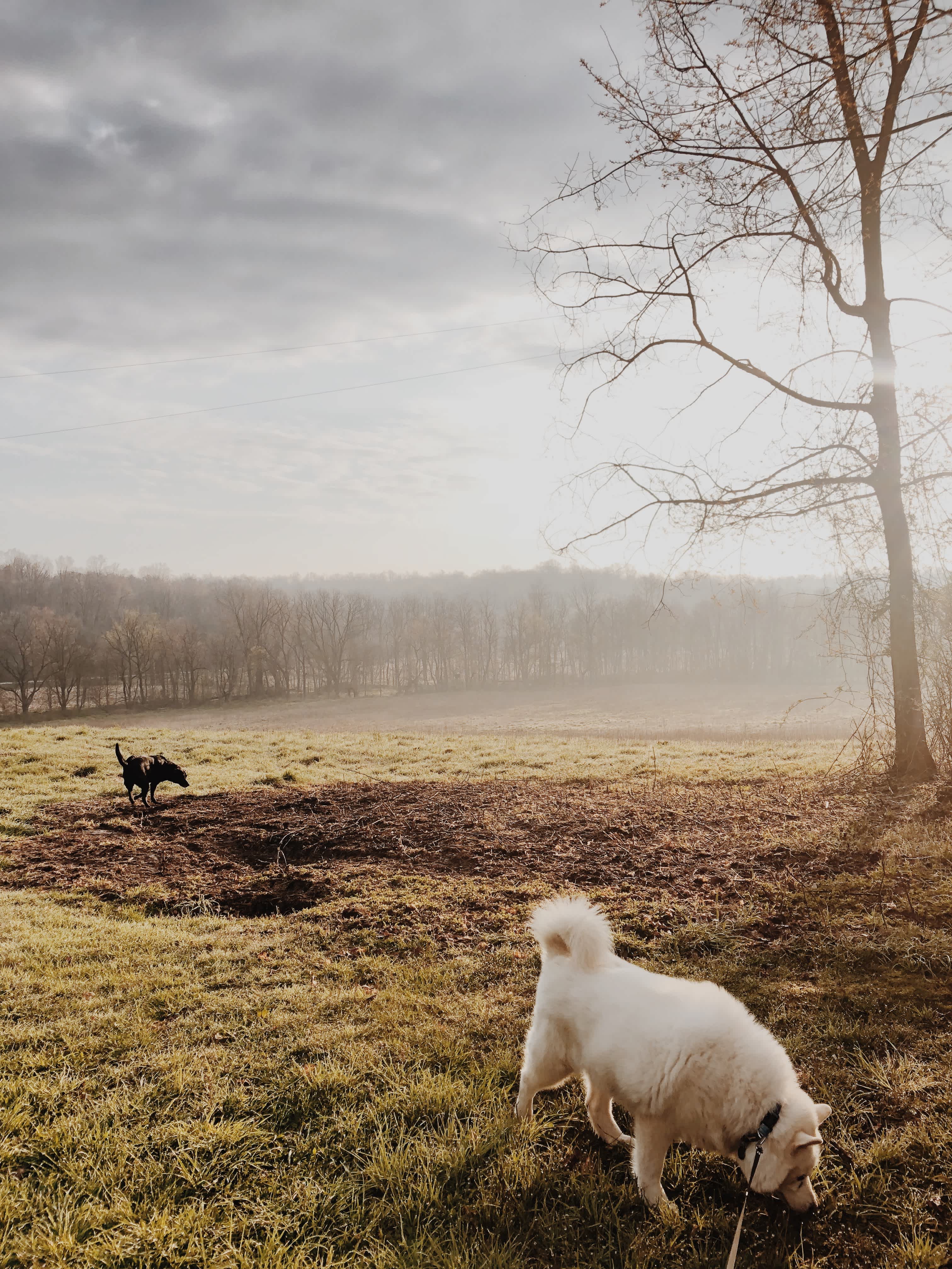 The Pleasant Valley Farm