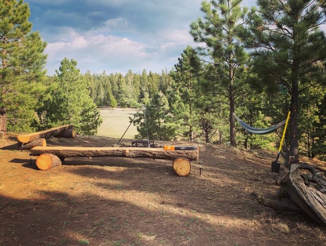 Picture of the site