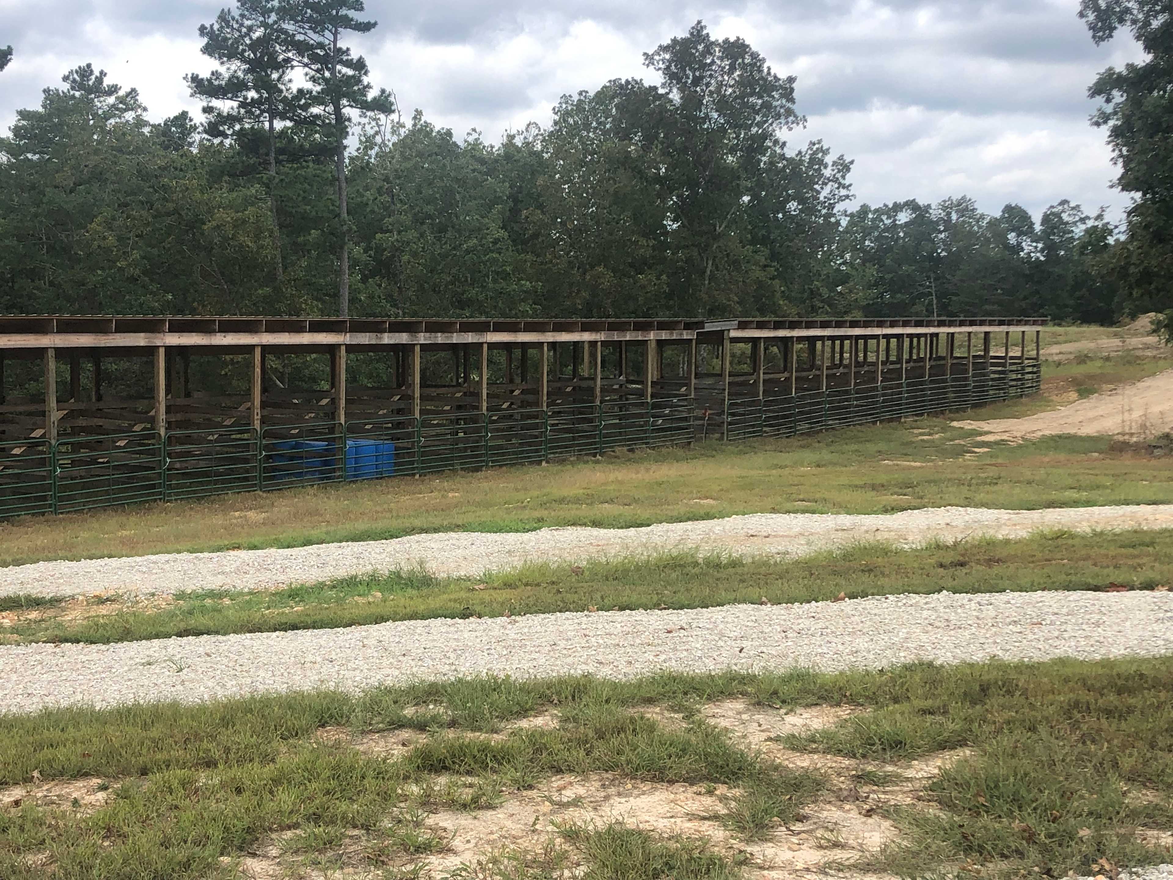 50 Horse Stalls