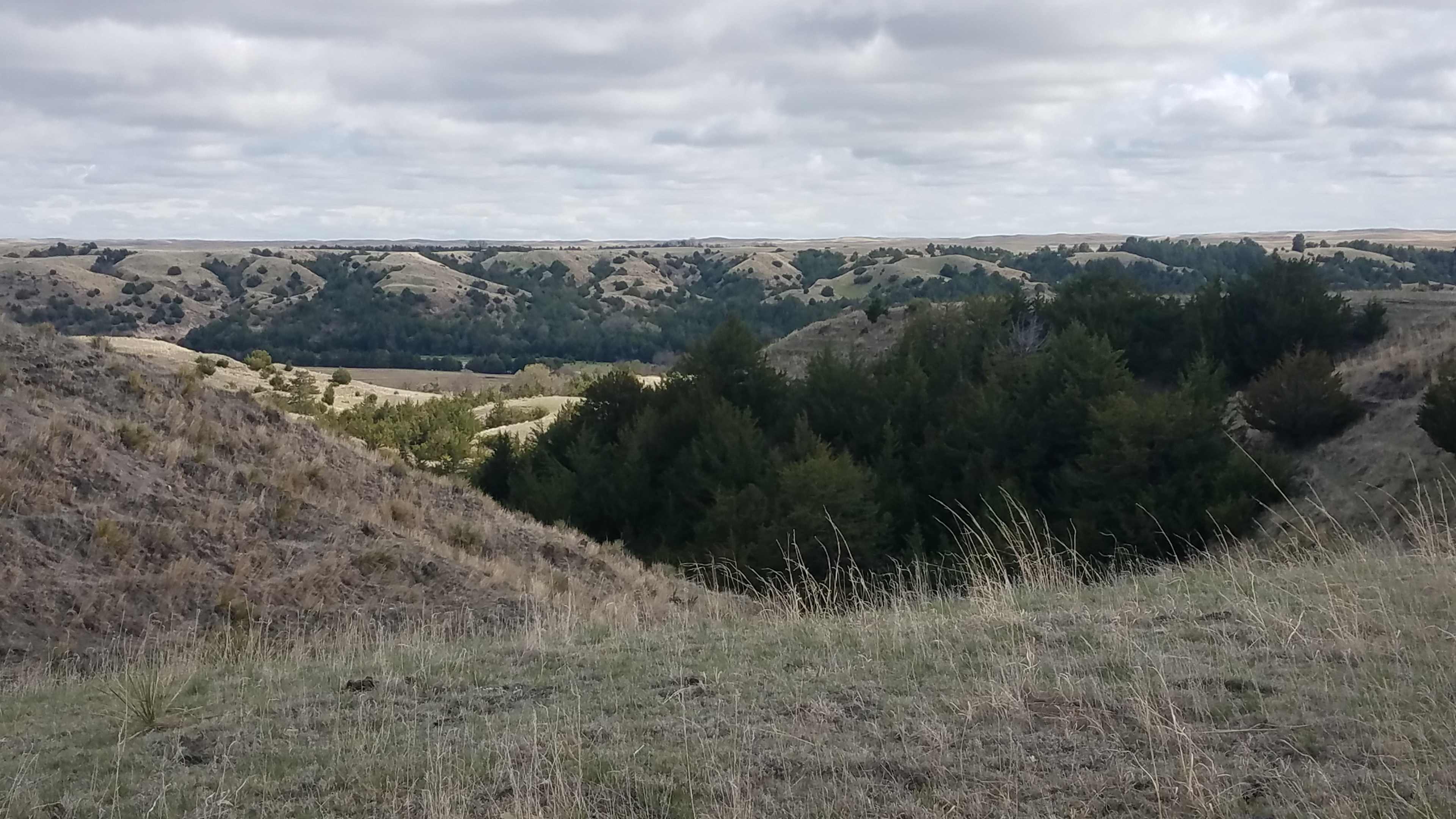 Looking to the south from the campsite, towards the Niobrara river valley