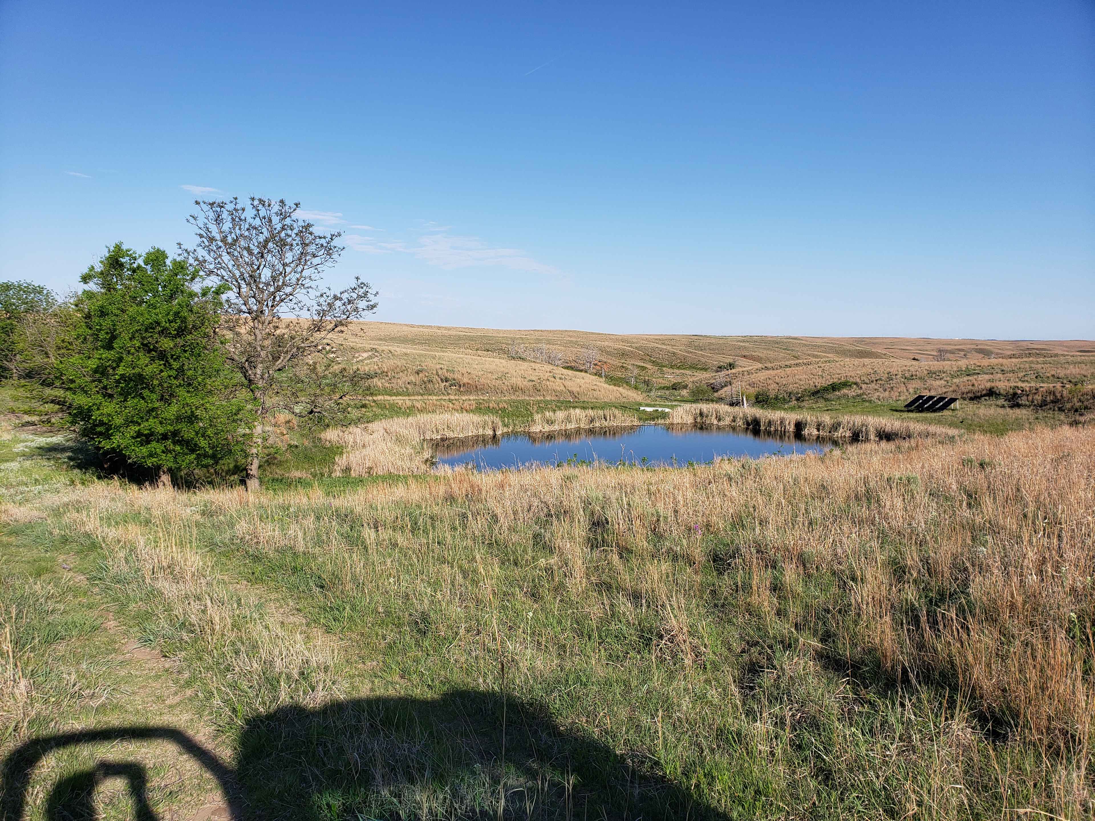 Looking Northwest, towards the creek.