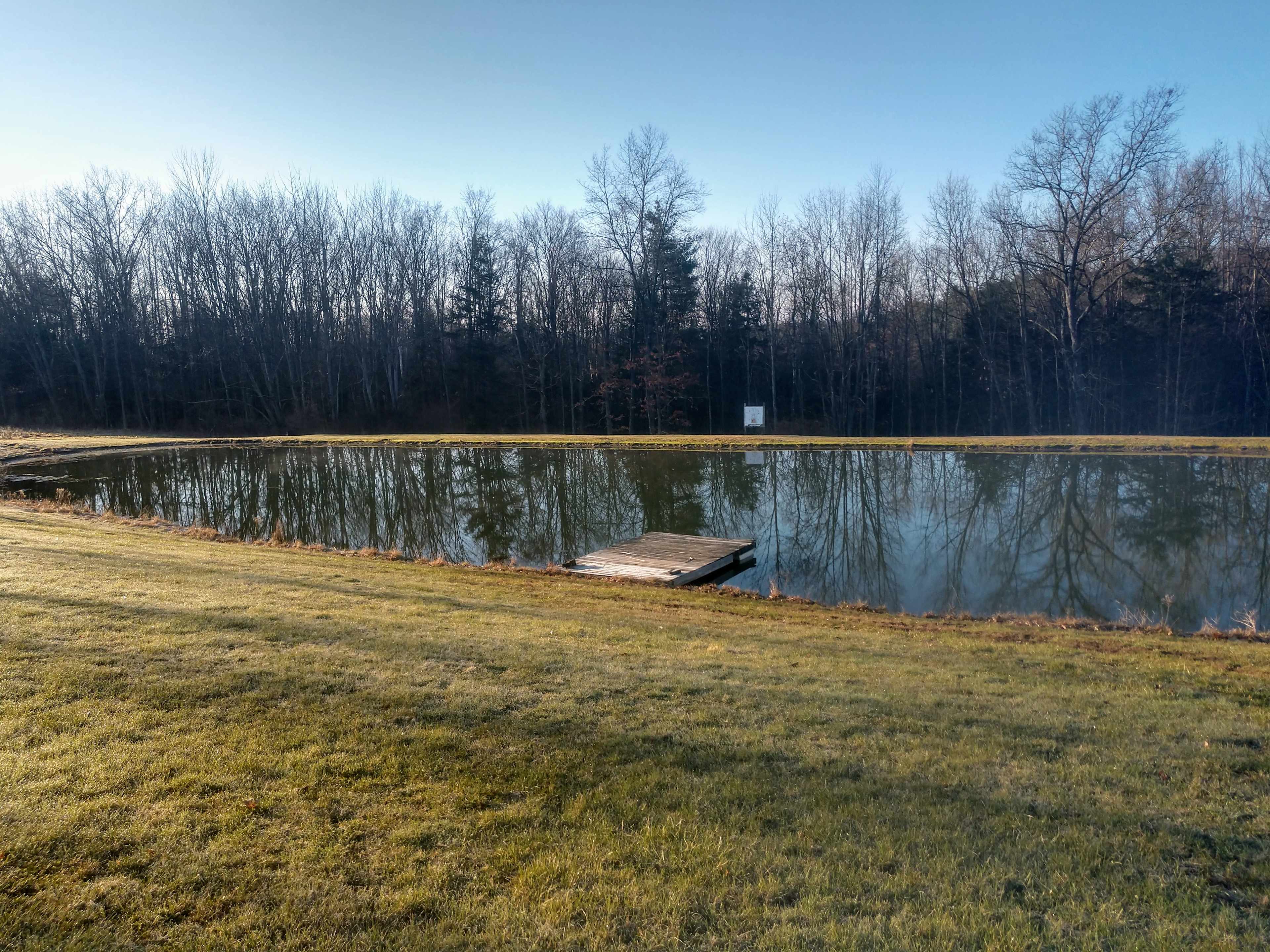 Our pond 
