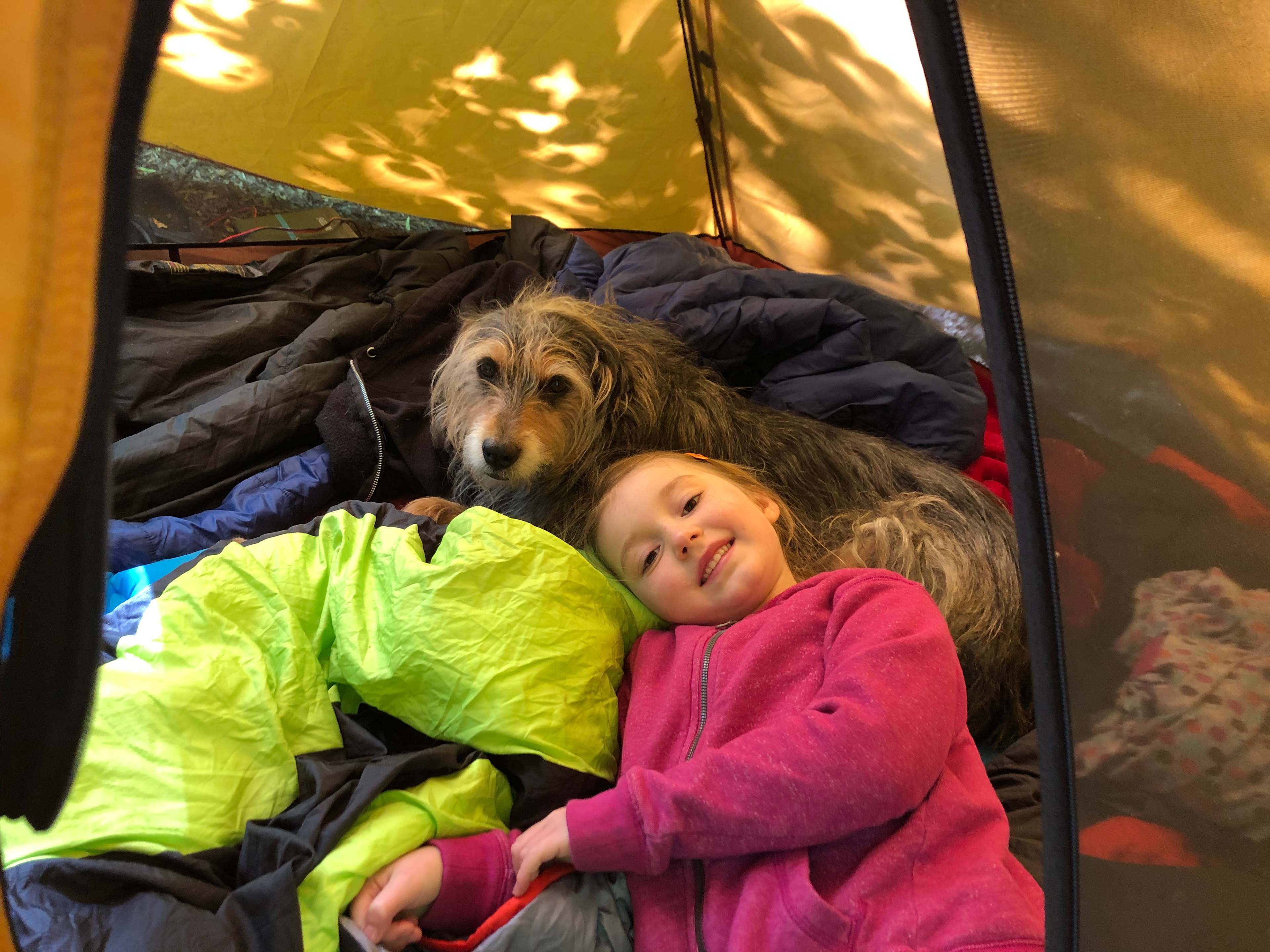 We all had great nights’ sleep with no outside noise or any type of highway noise. A little bit of wildlife noise out there but great. That’s what we came for. We heard a distant neighbor’s Dog treeing a big cat. Store your food away from the site or in car. 