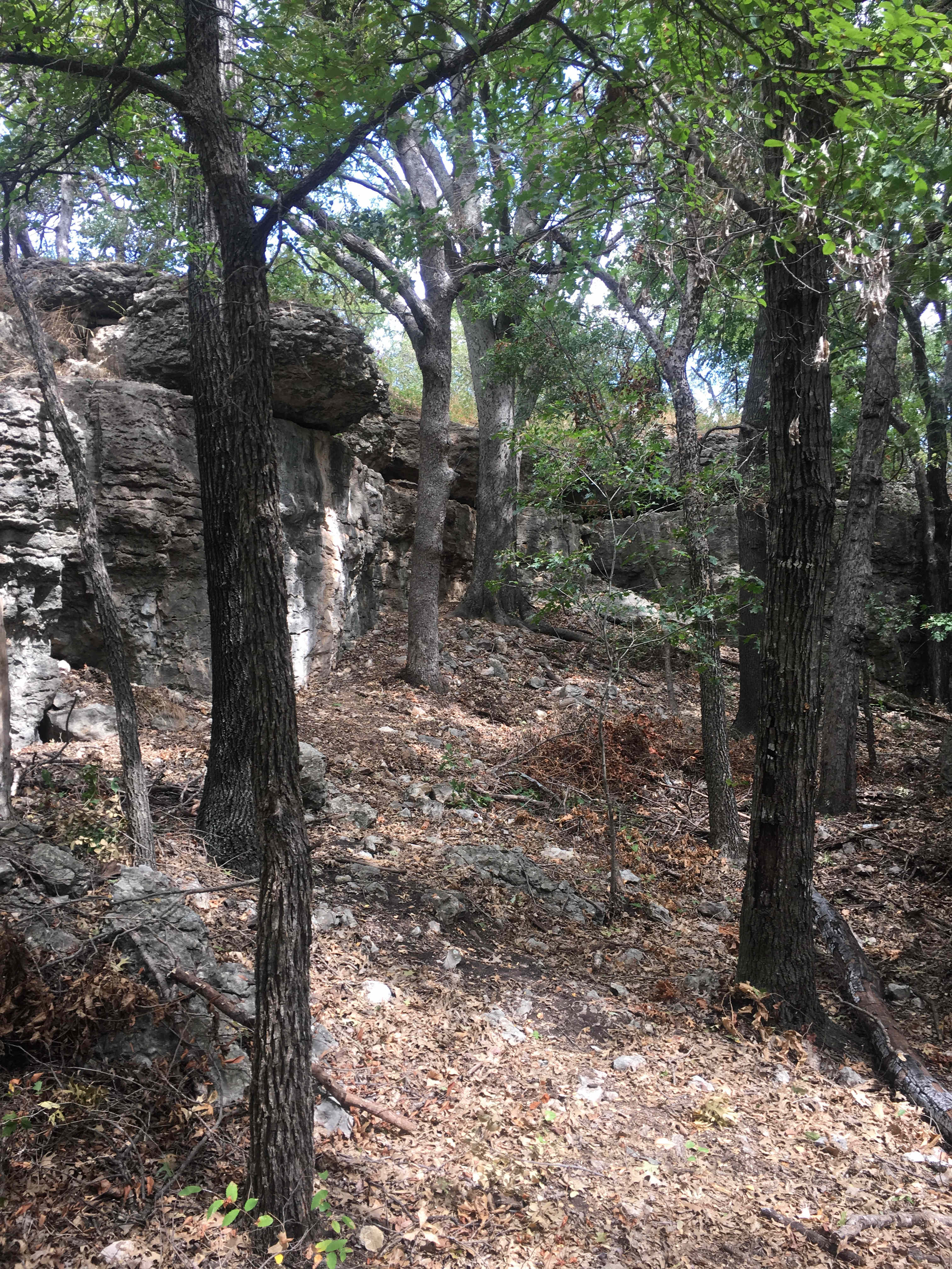 This trail leads directly to the mouth of the cave.