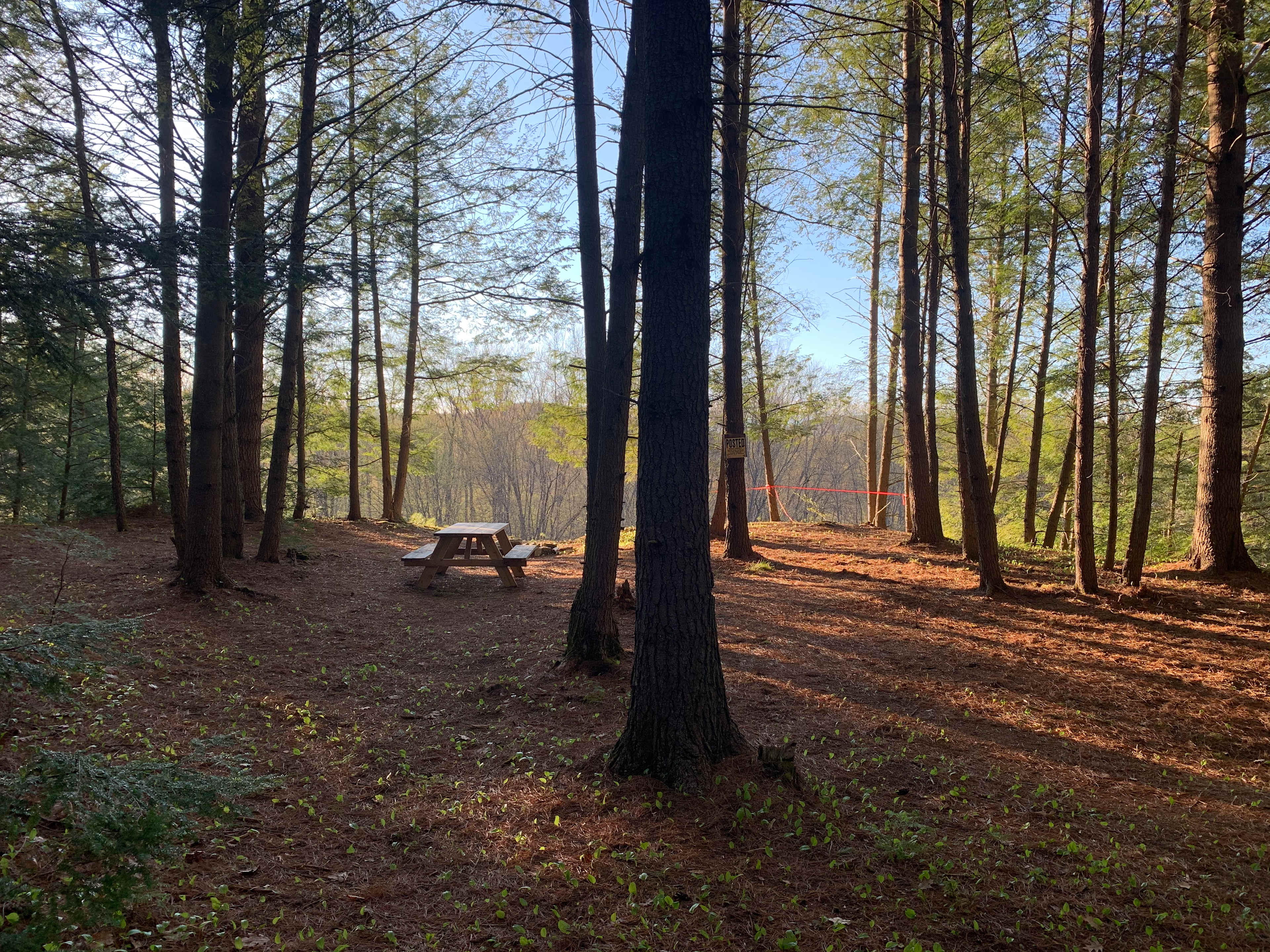 Site 1