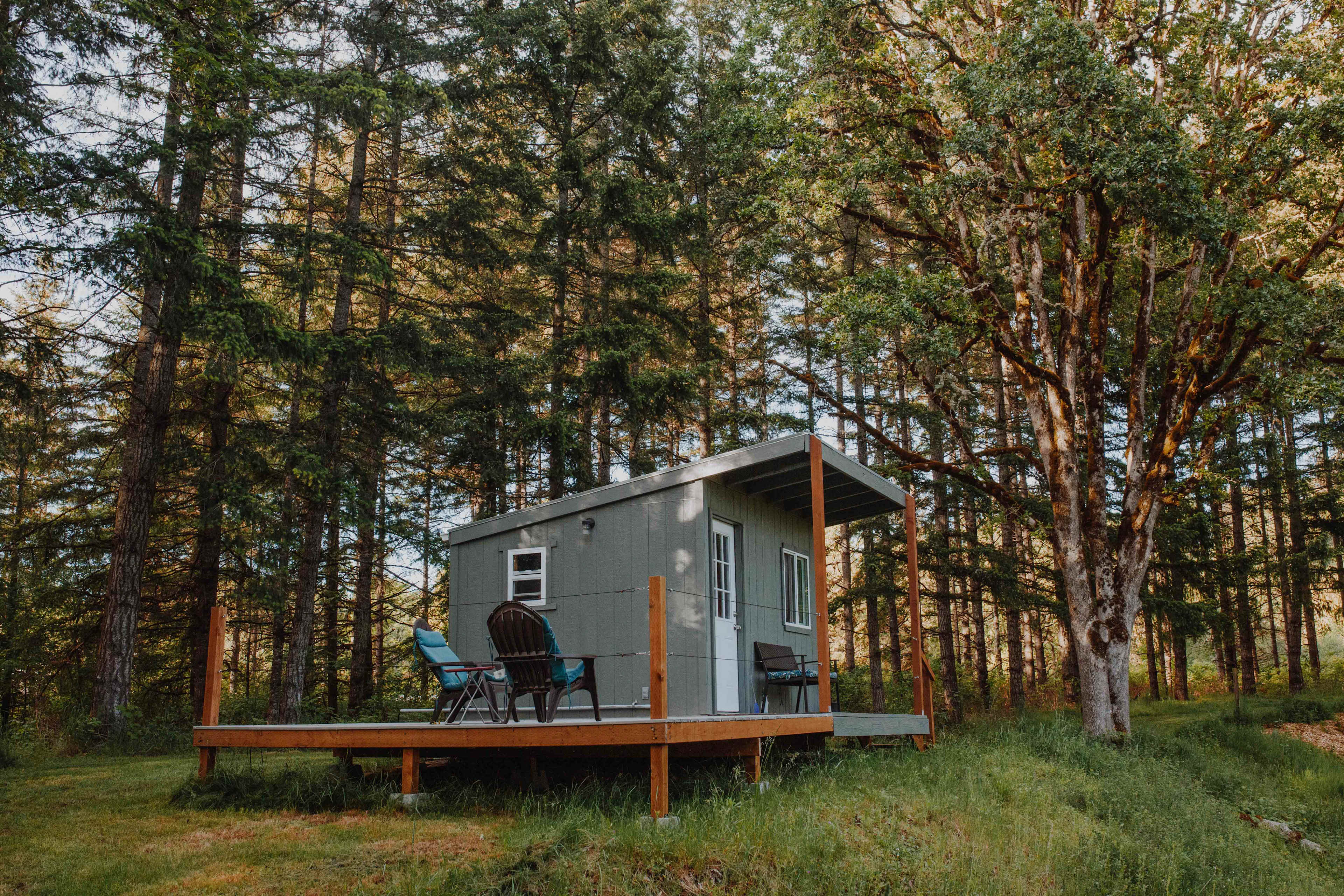 Cabin views, in the thick of it. 