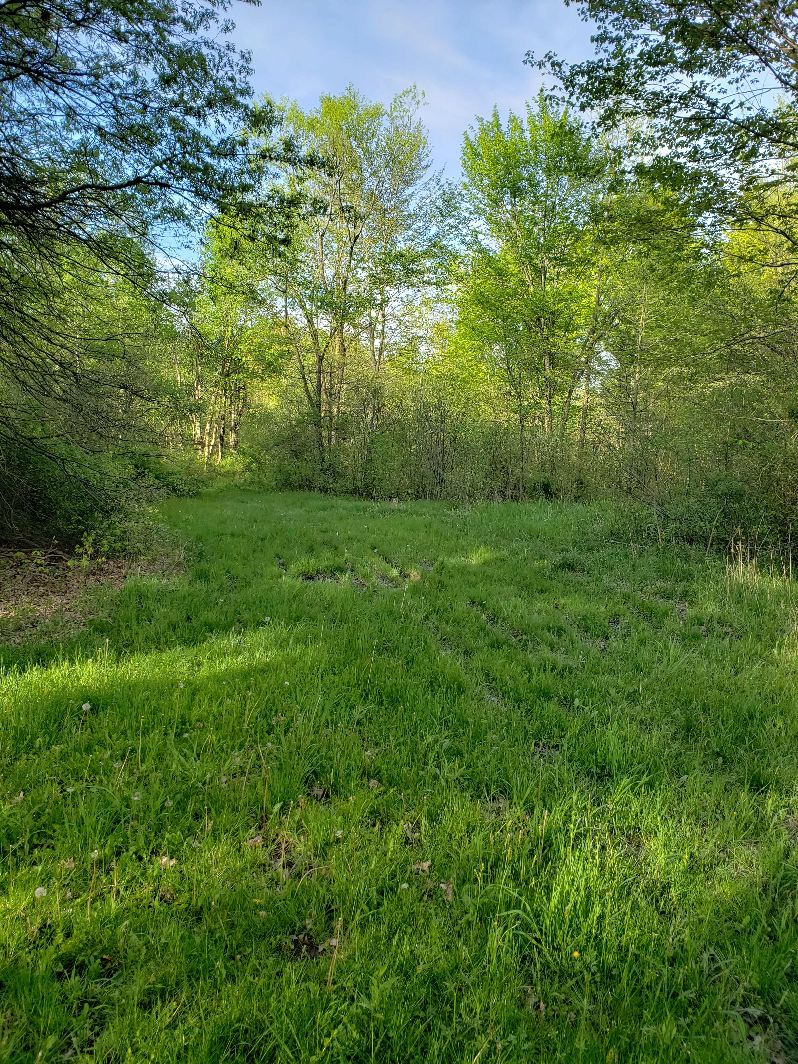 Camping spot