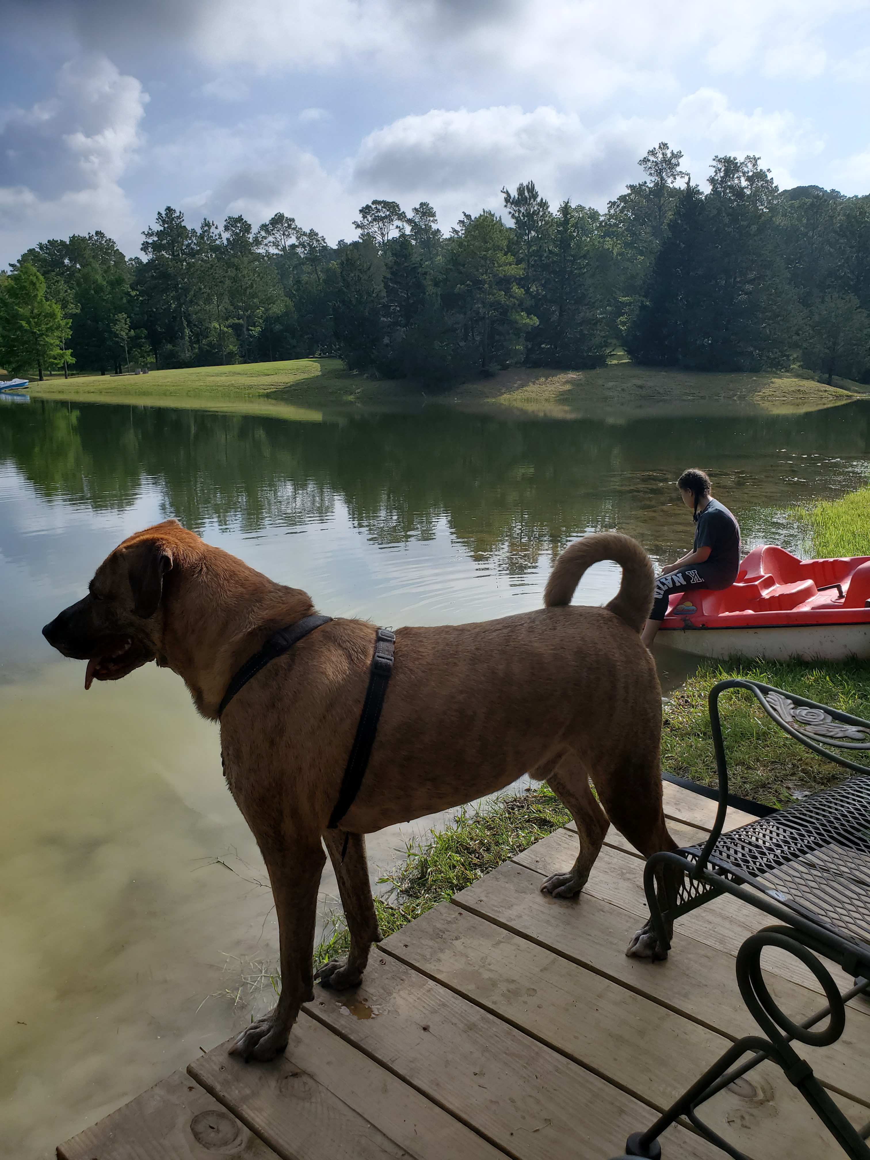 The Honey Hole