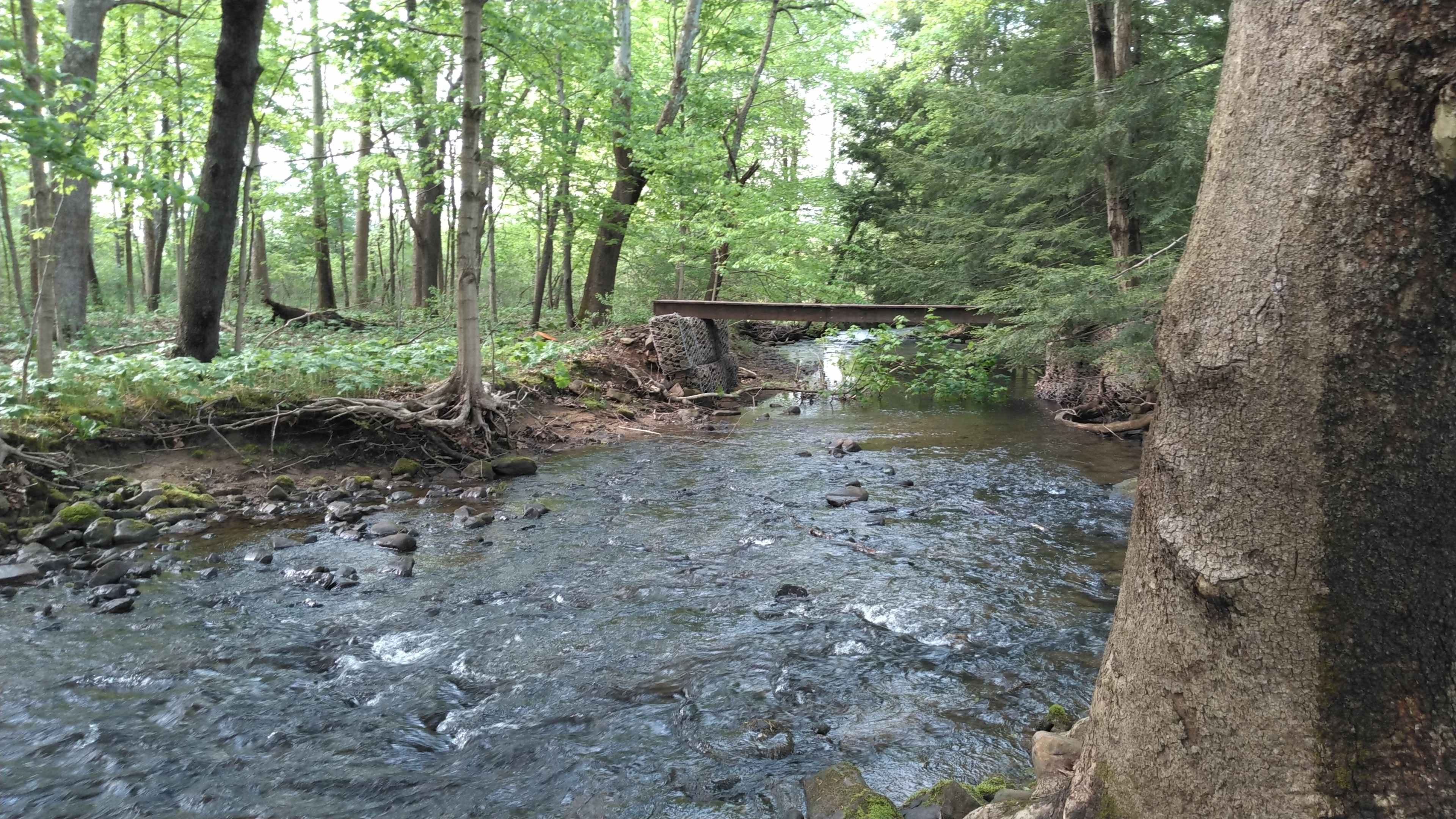 Footbridge Haven Farm