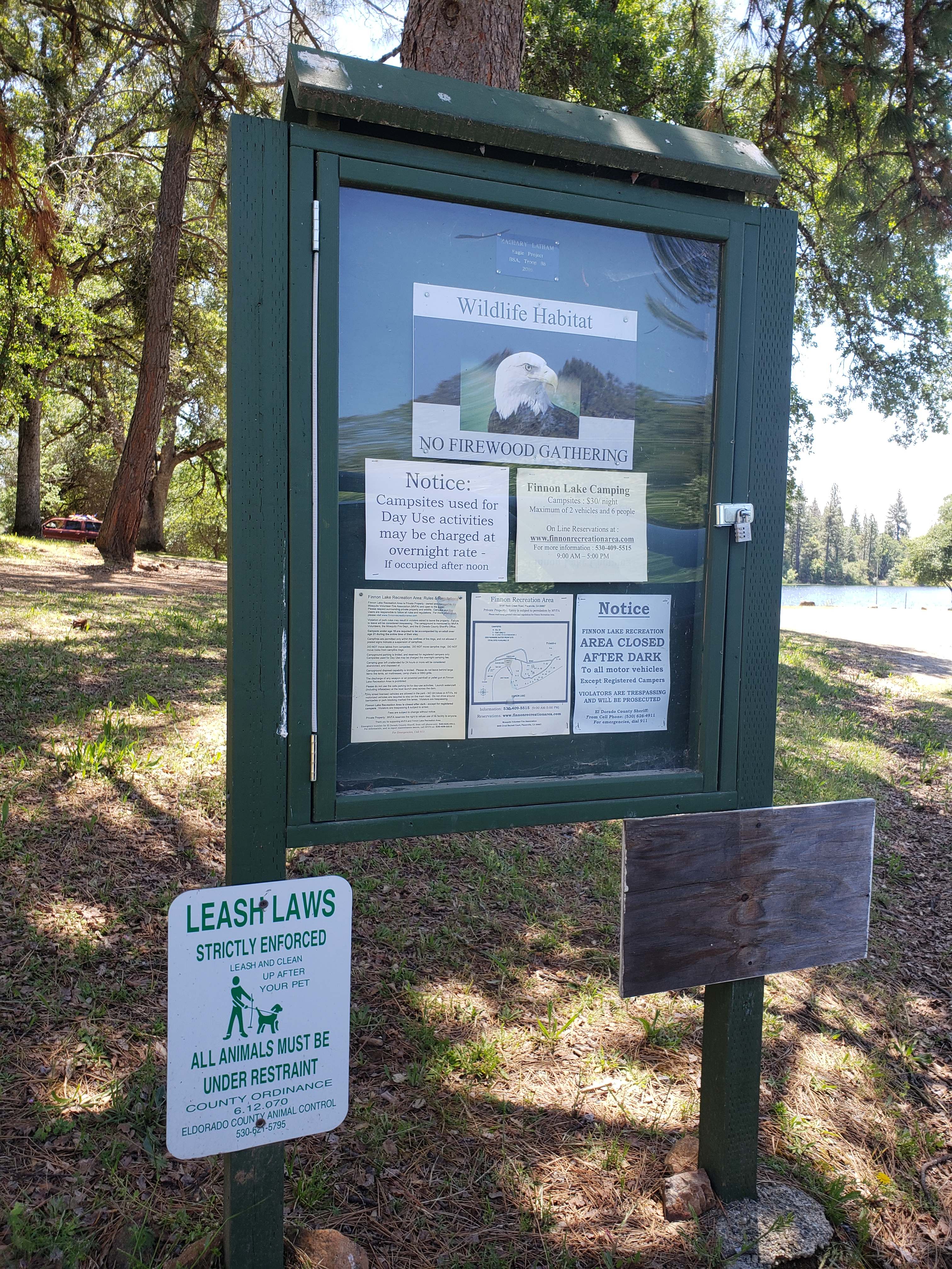 Picture of the site