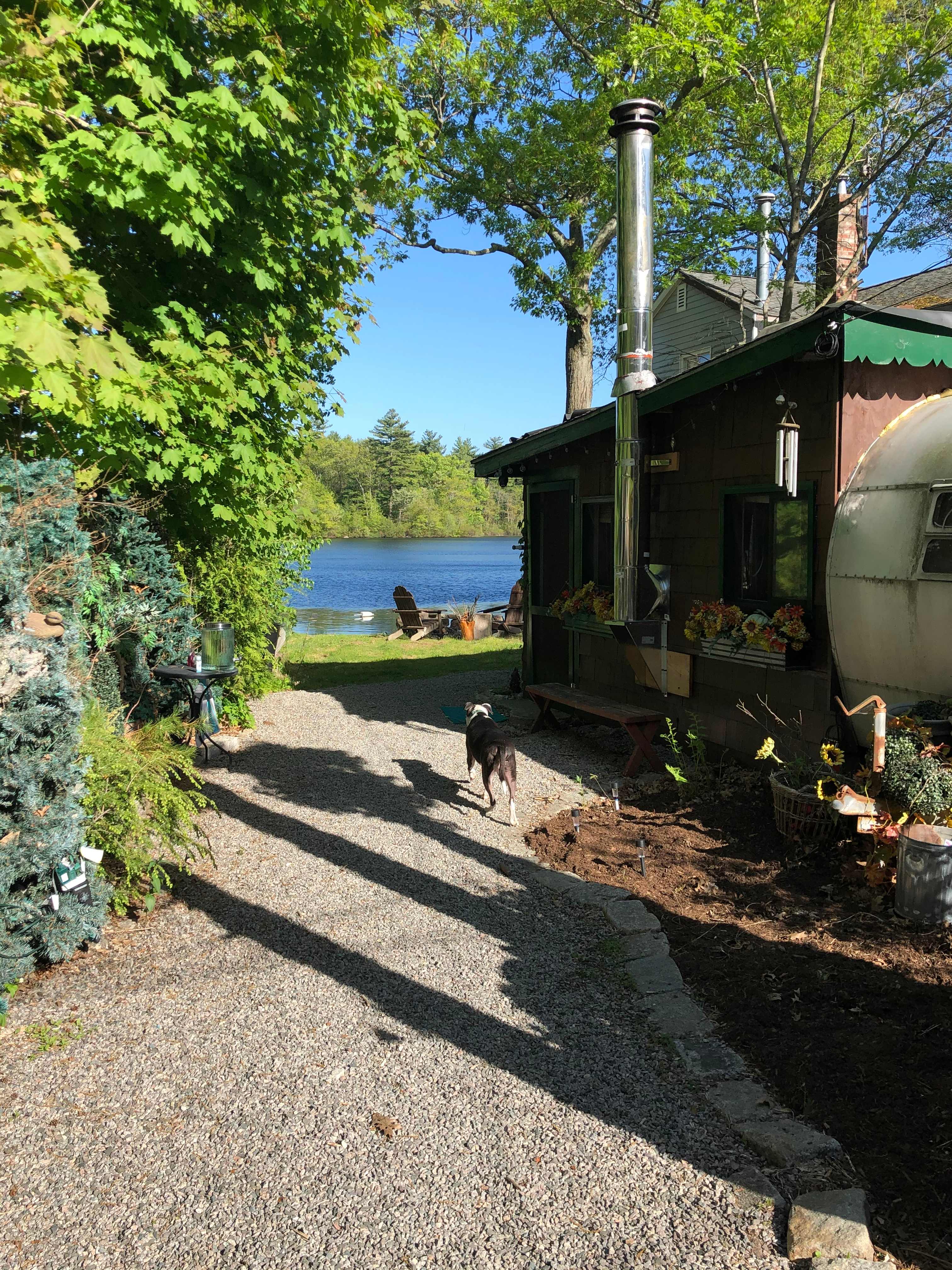 From the street to the camp door. Our pup exploring the place. 
