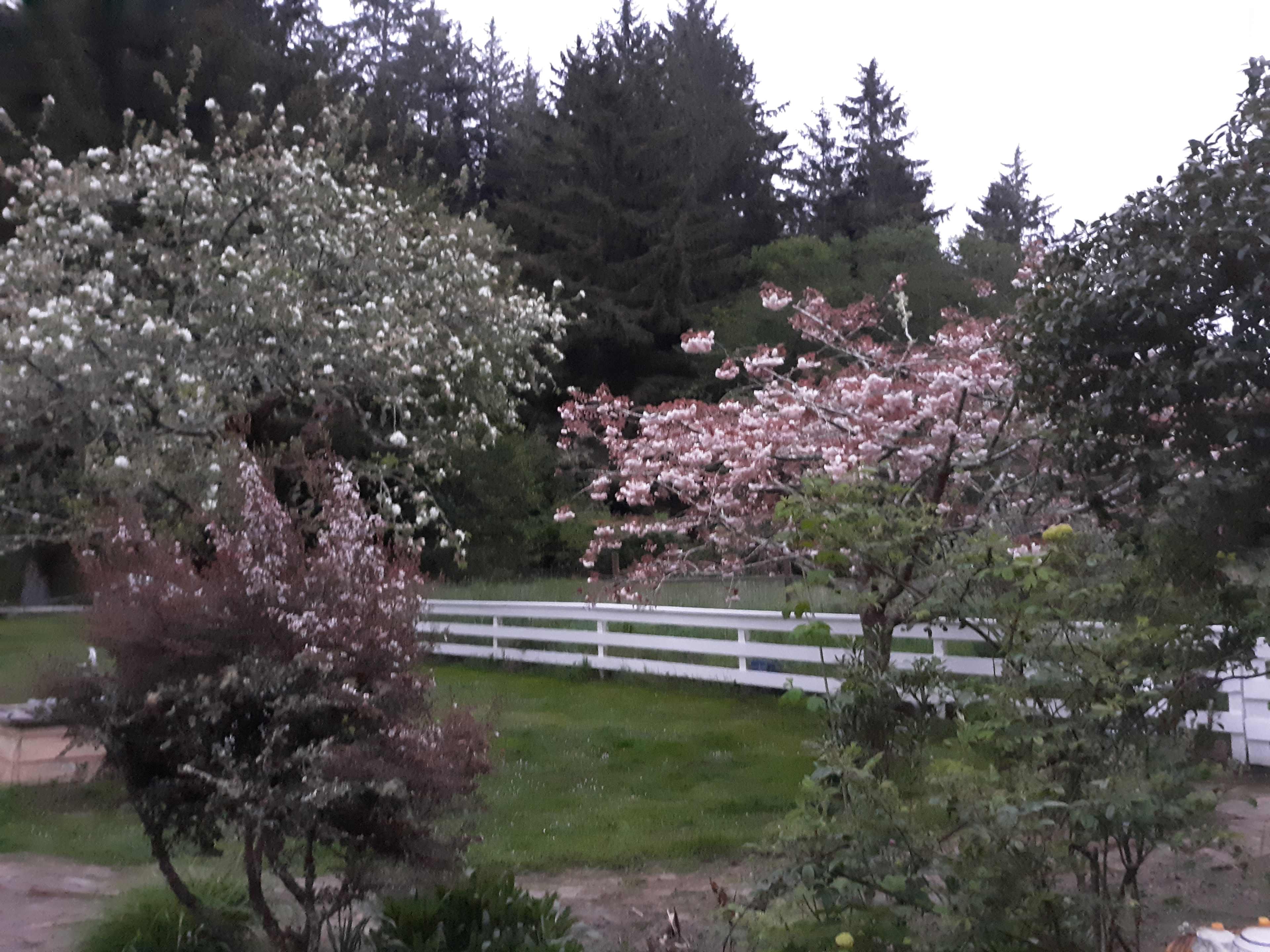 Wendy & John Farm