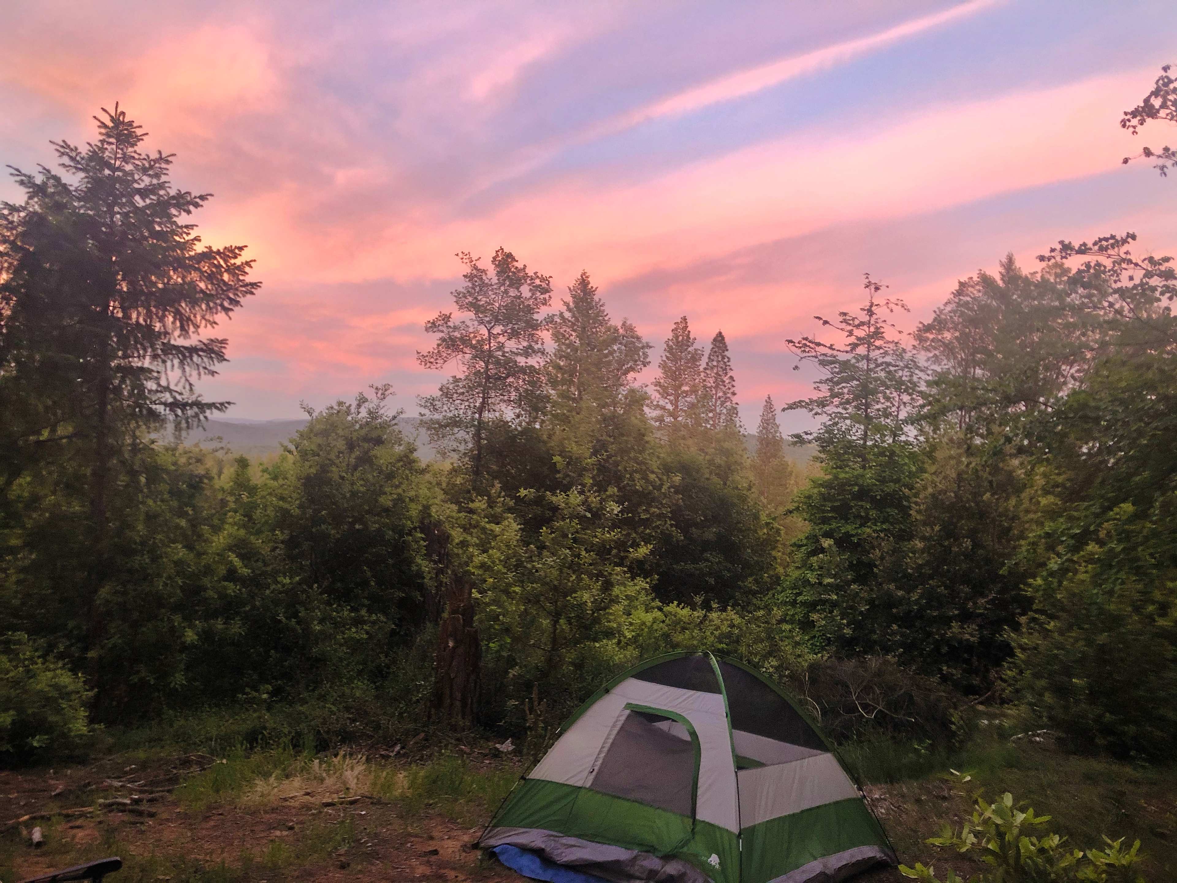 Site #5