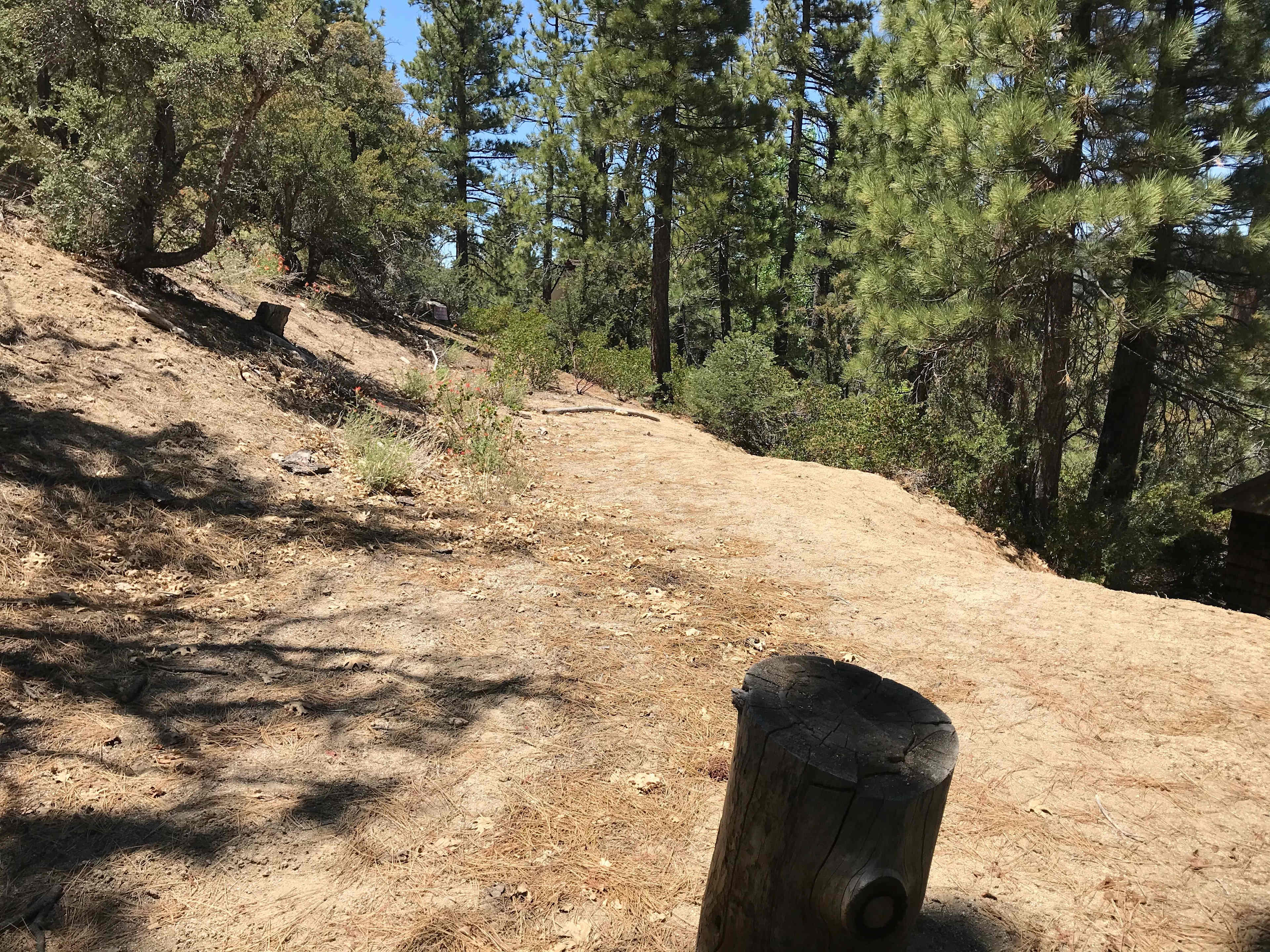Mountain Top Campsite
