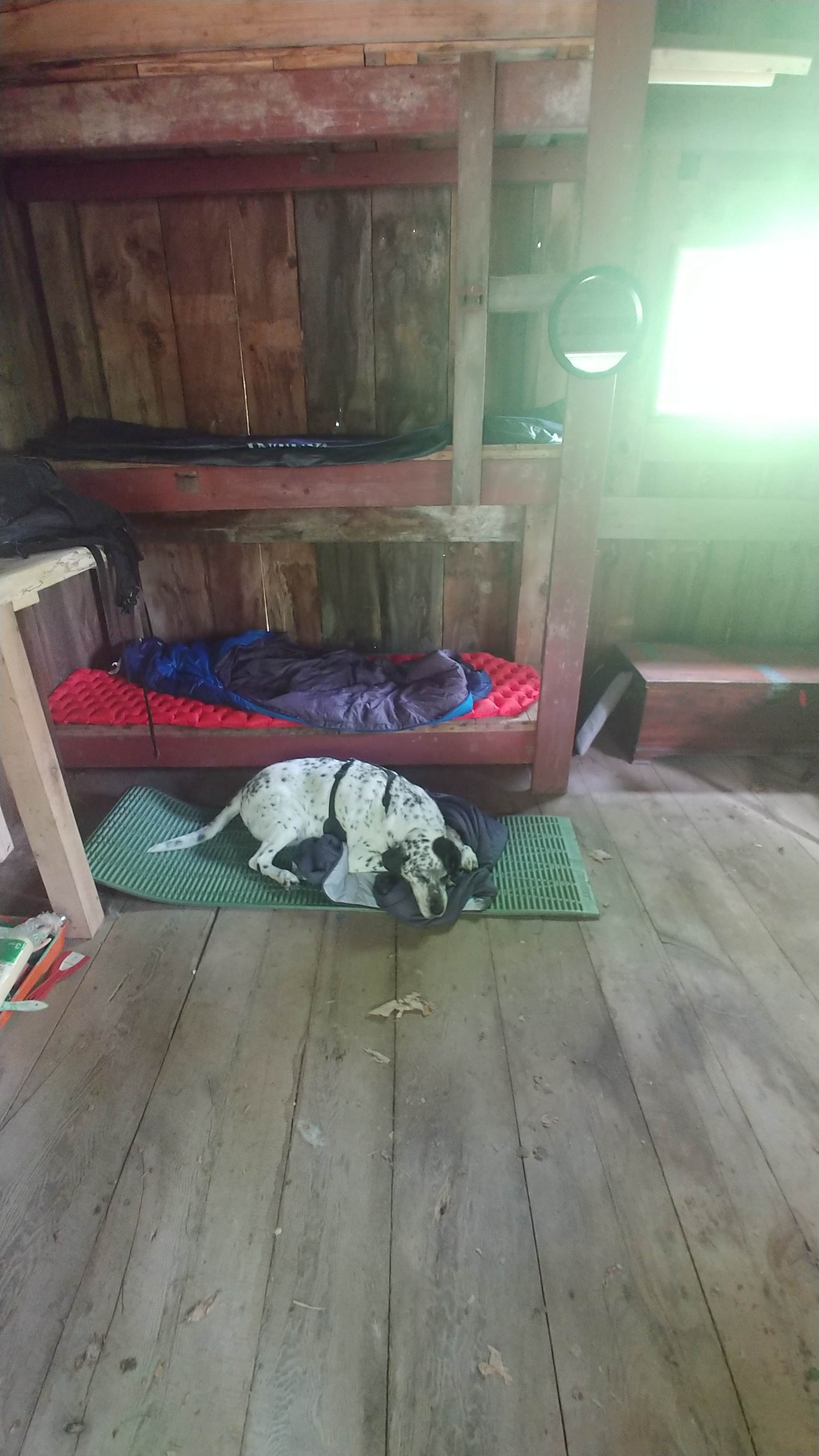 Forest Cabin, Richford, NY