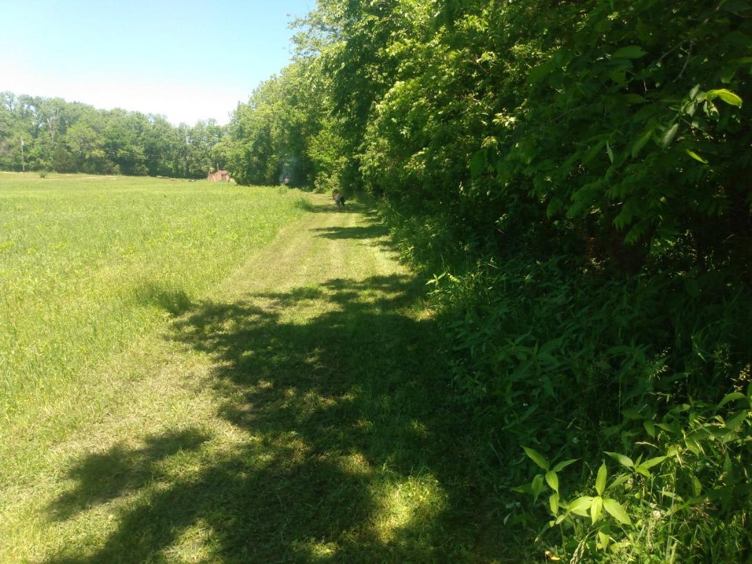 Timber Creek Farm