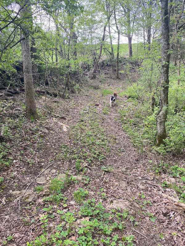 One of the many hiking trails