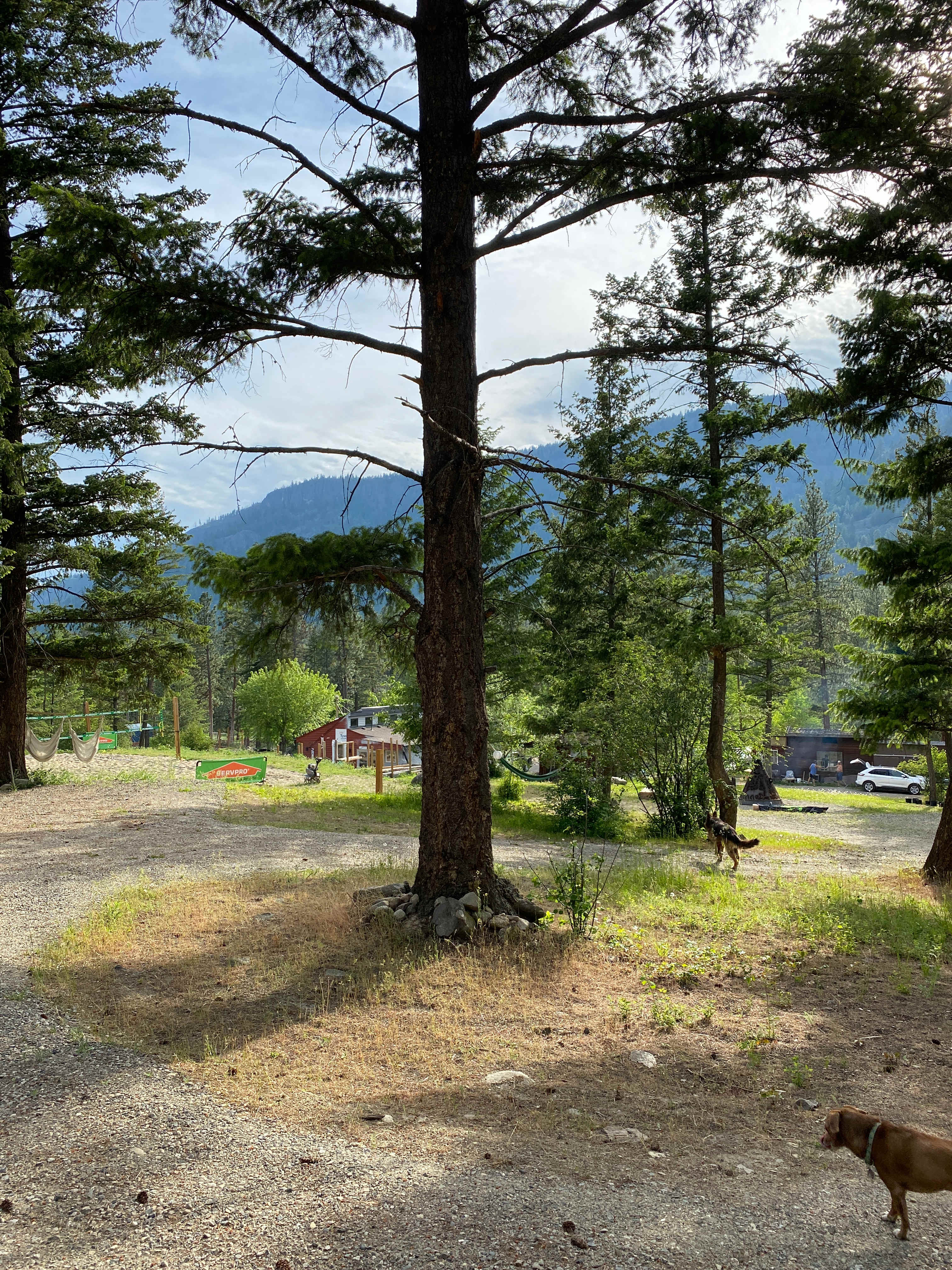 View from campsite