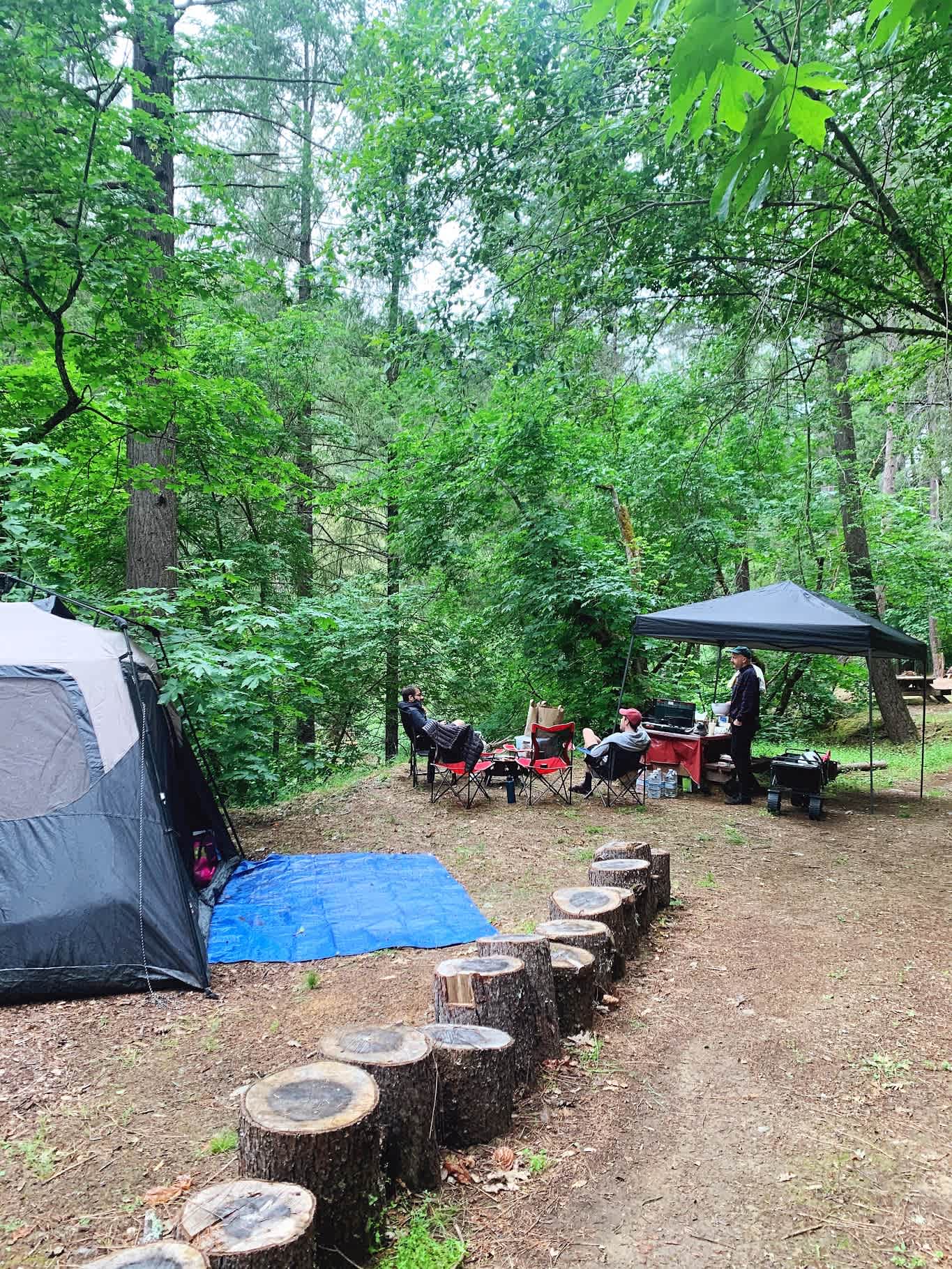Picture of the site