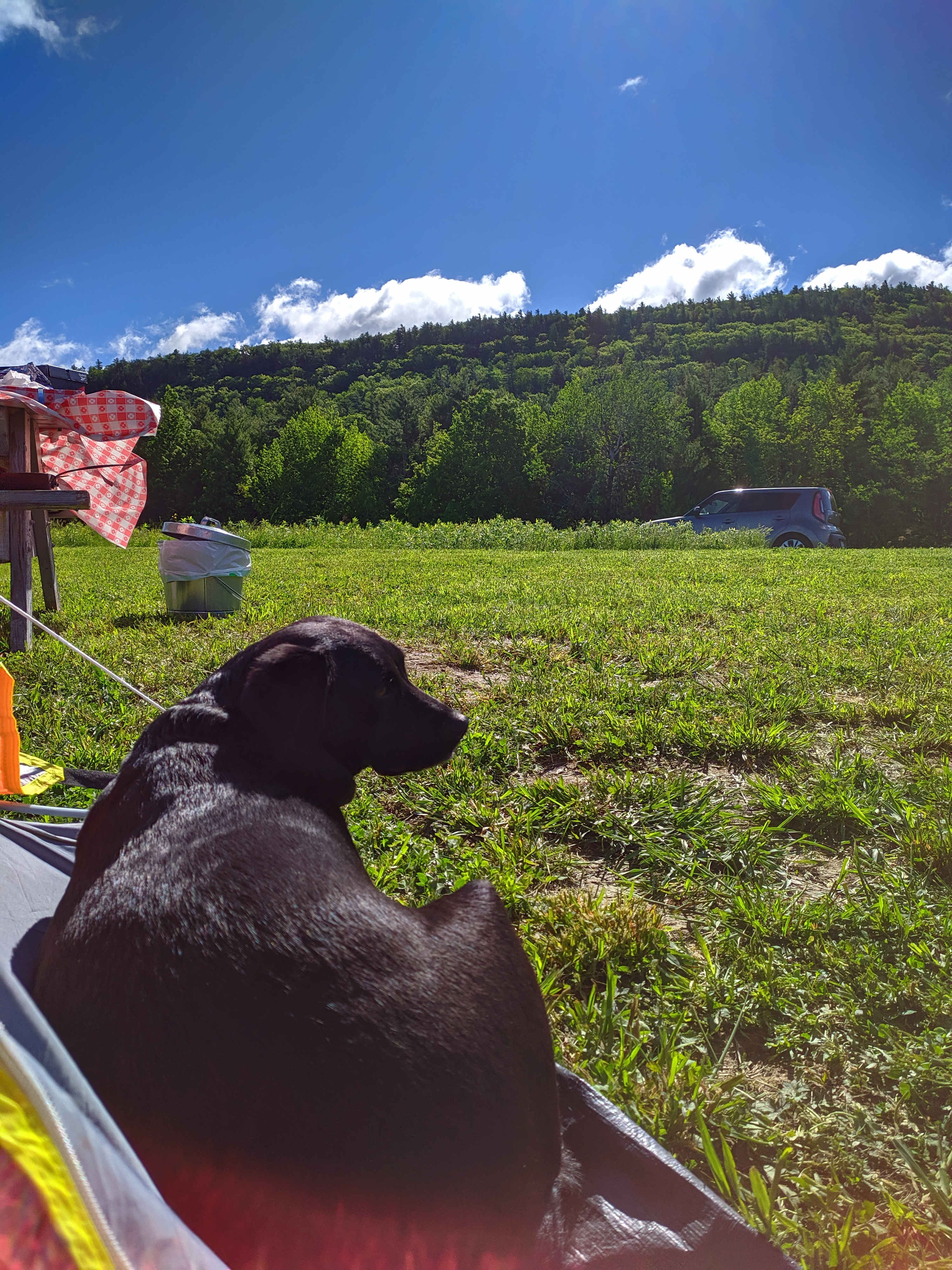 Campsite was stocked with a fire pit and 2 Adirondack chairs