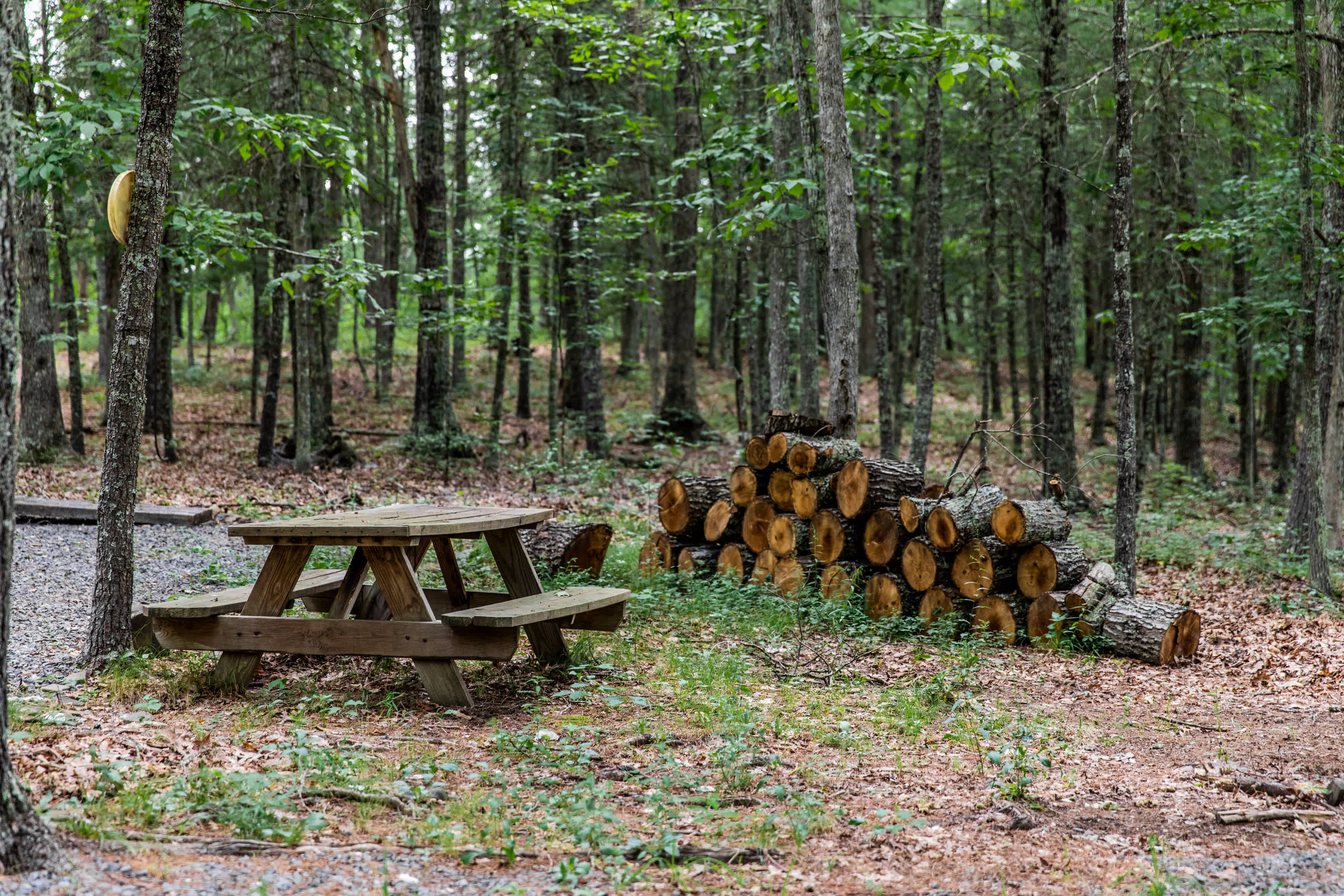 Enjoy meals at picnic tables located throughout the grounds!