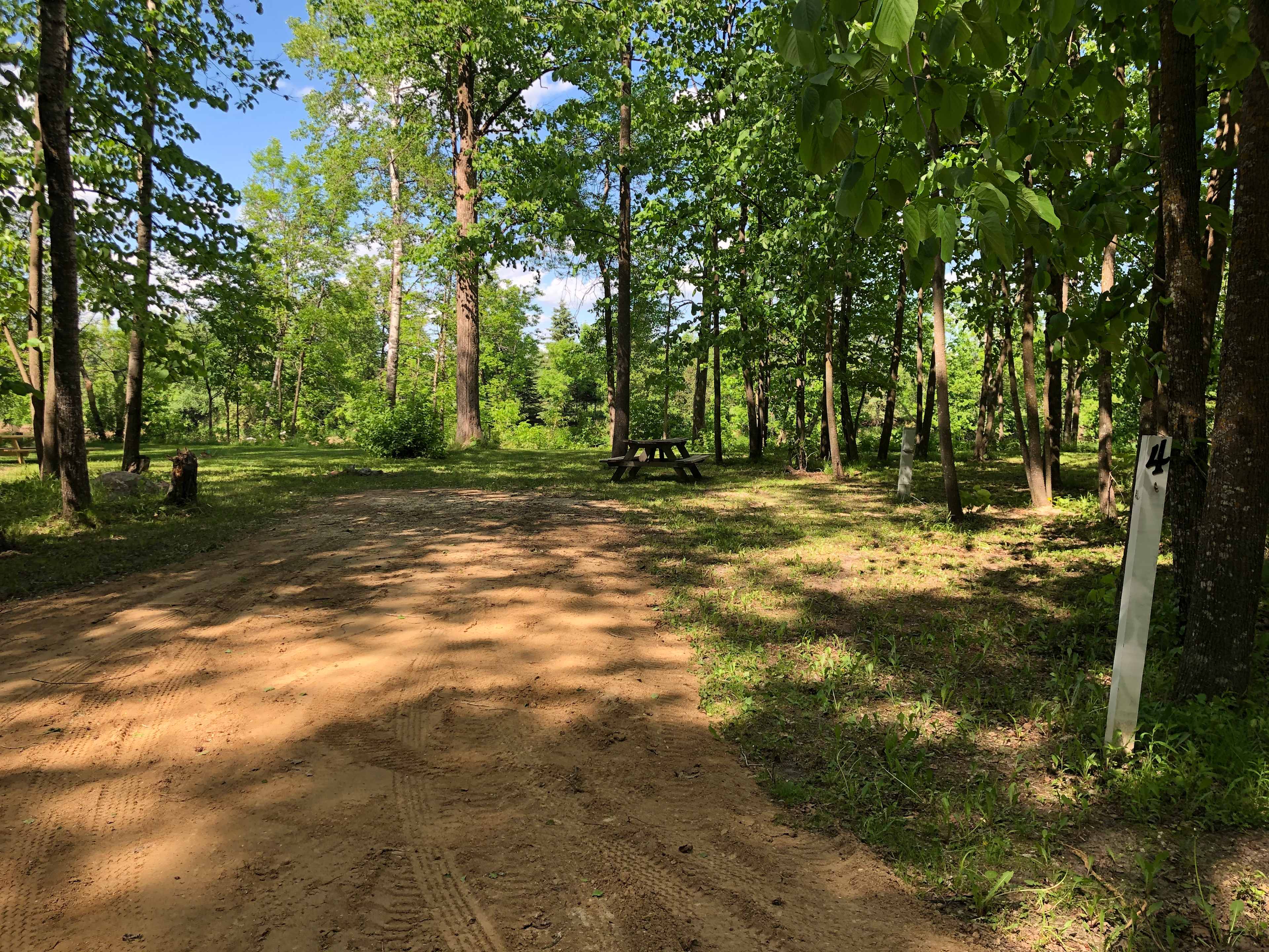 Picture of the site