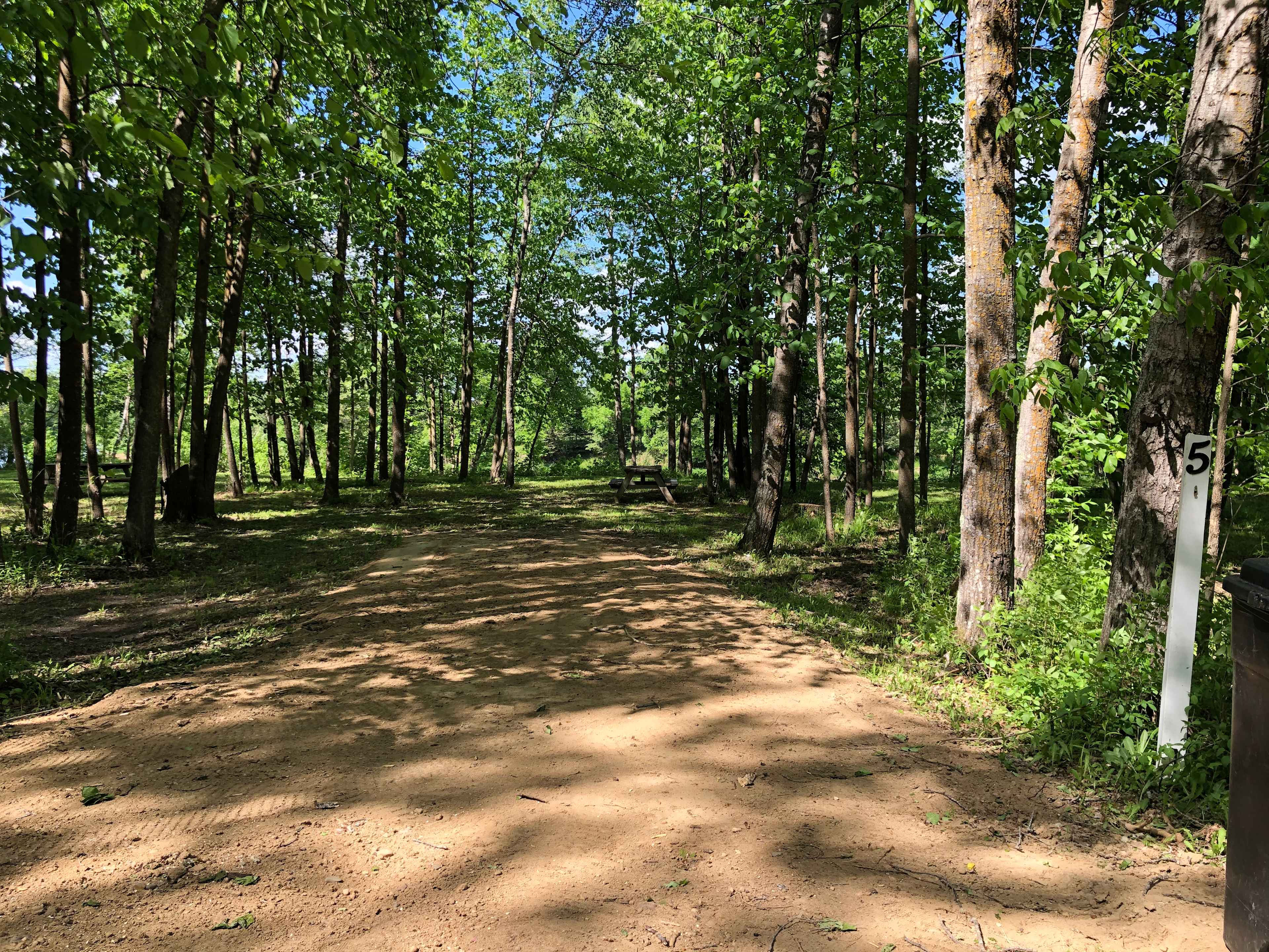 Picture of the site