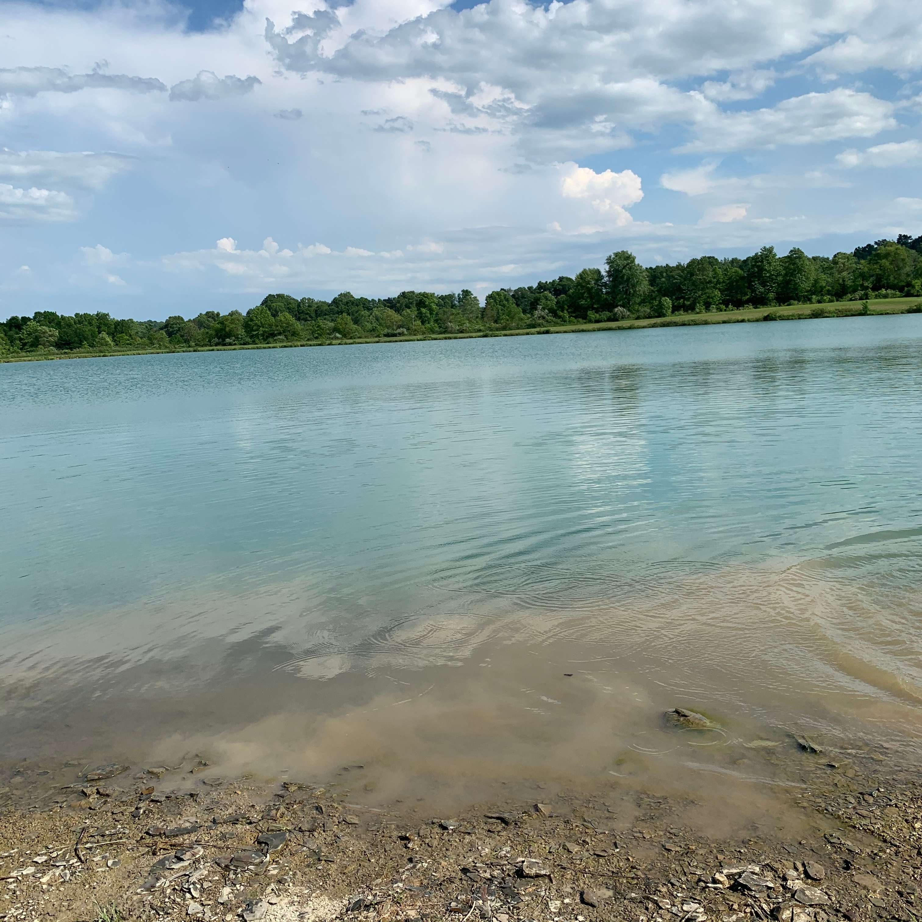 Fish Farm Camp