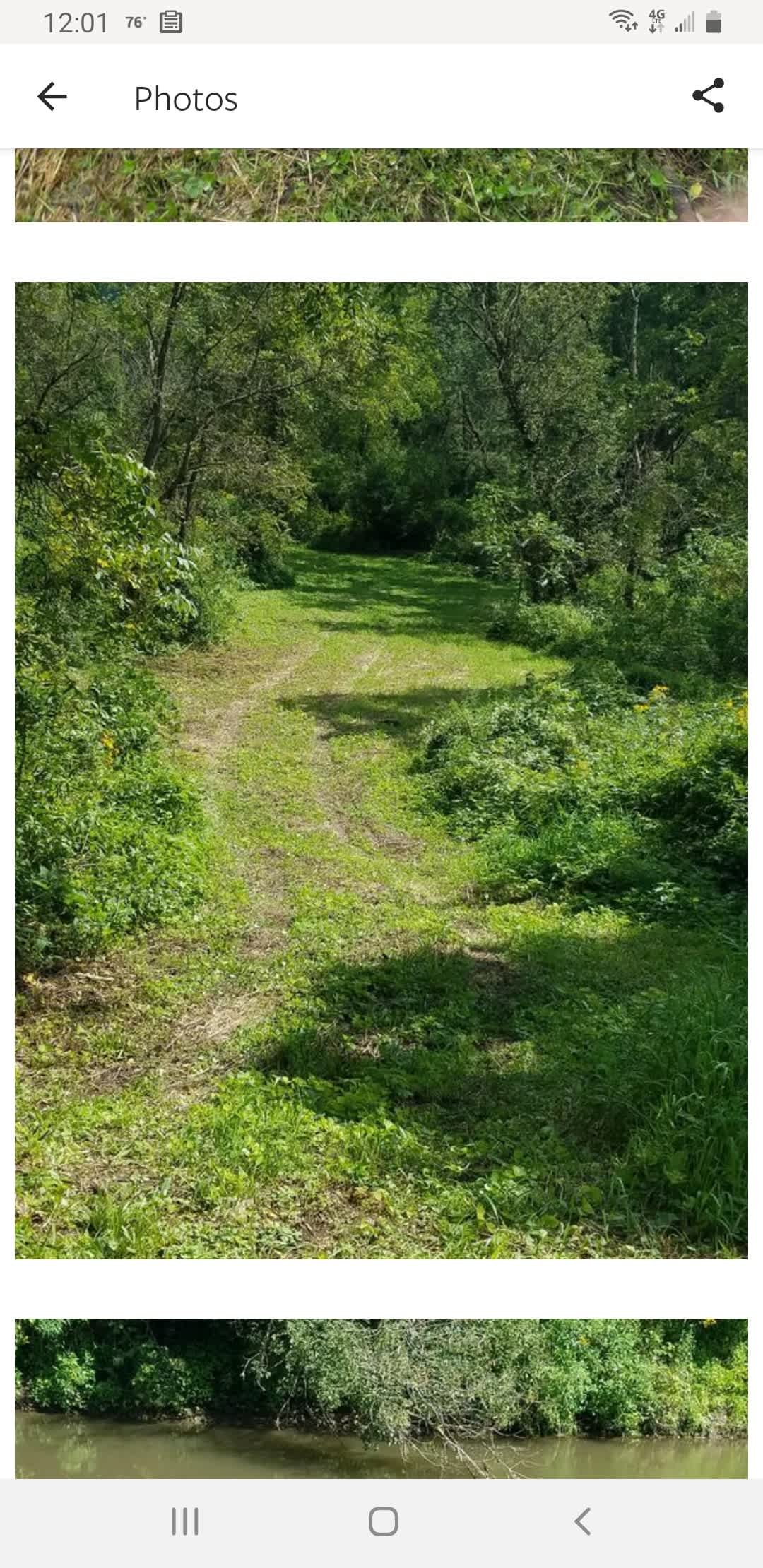 Part of the camping site