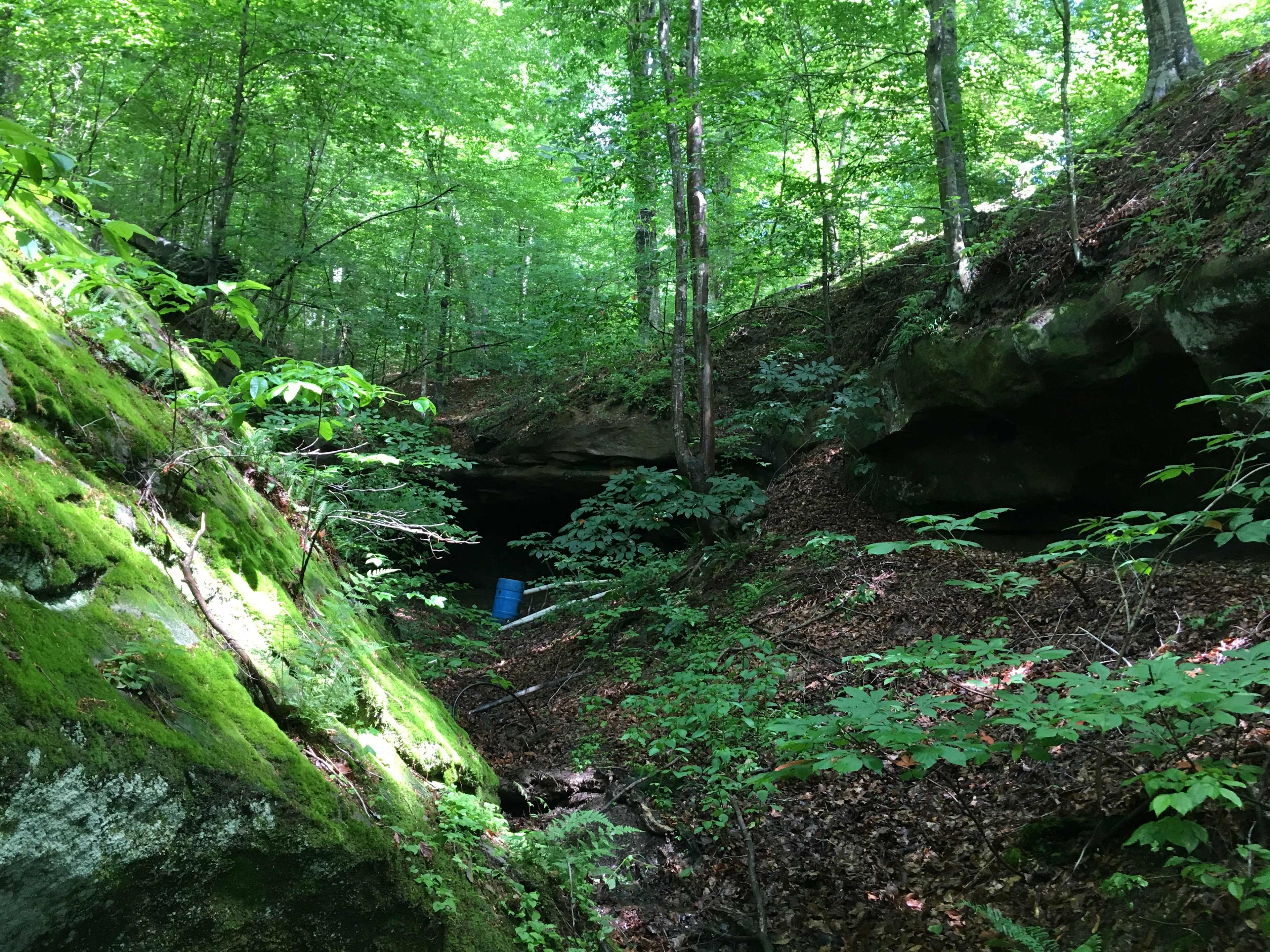 Picture of the site
