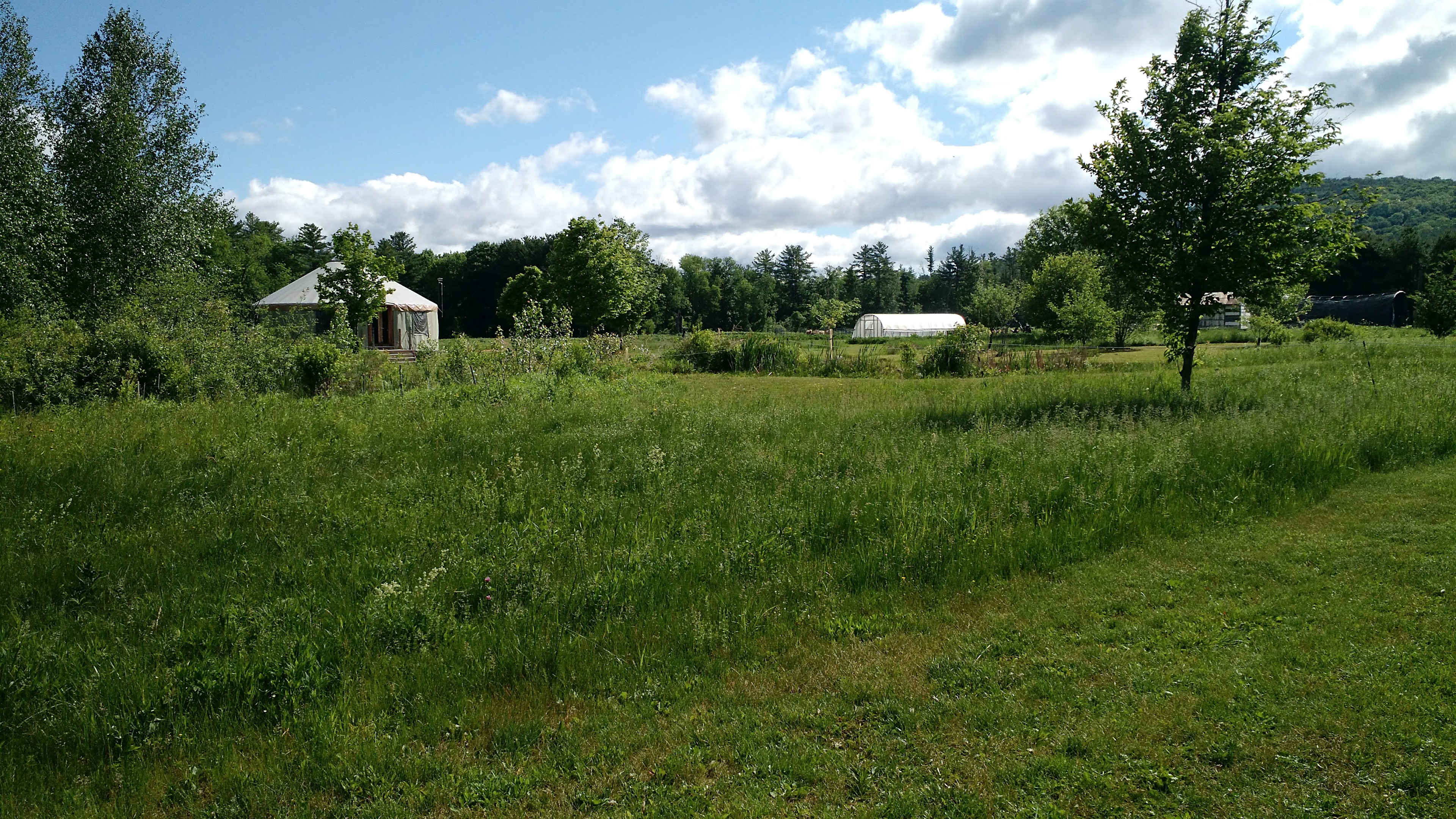 A view of the homestead