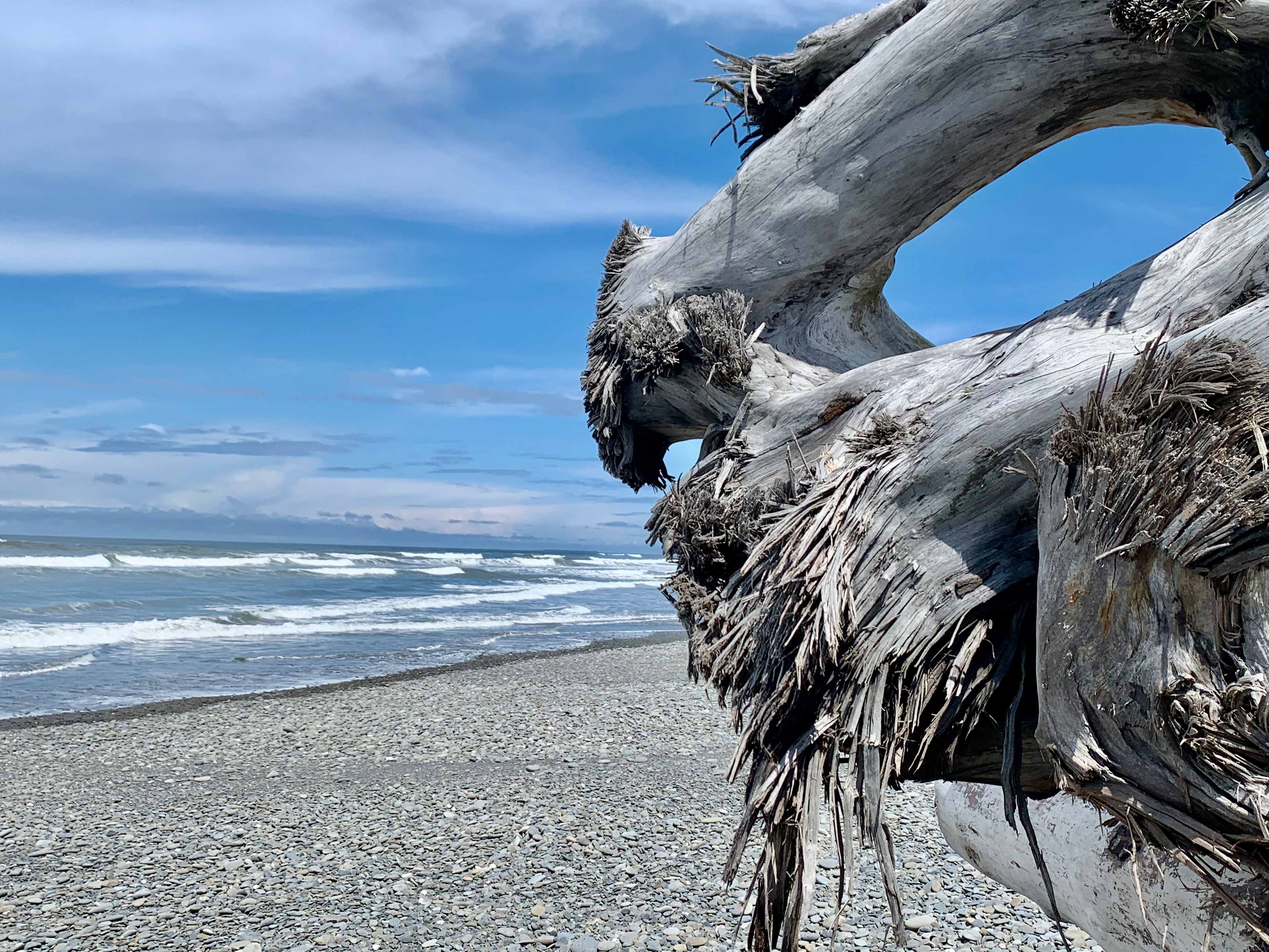 Wild WA Coast Lookout ($75 - $125)