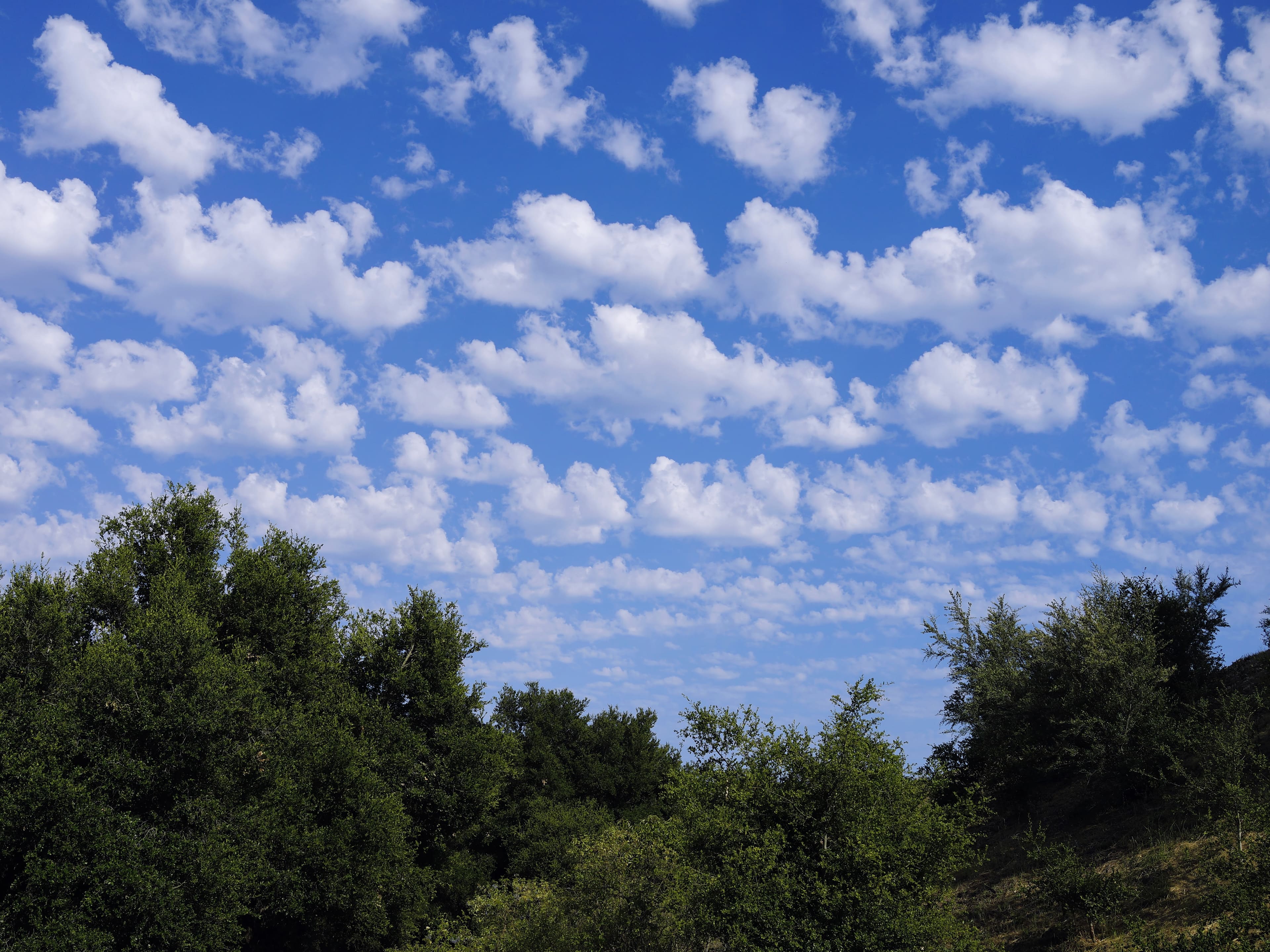 view from the yurt's deck
