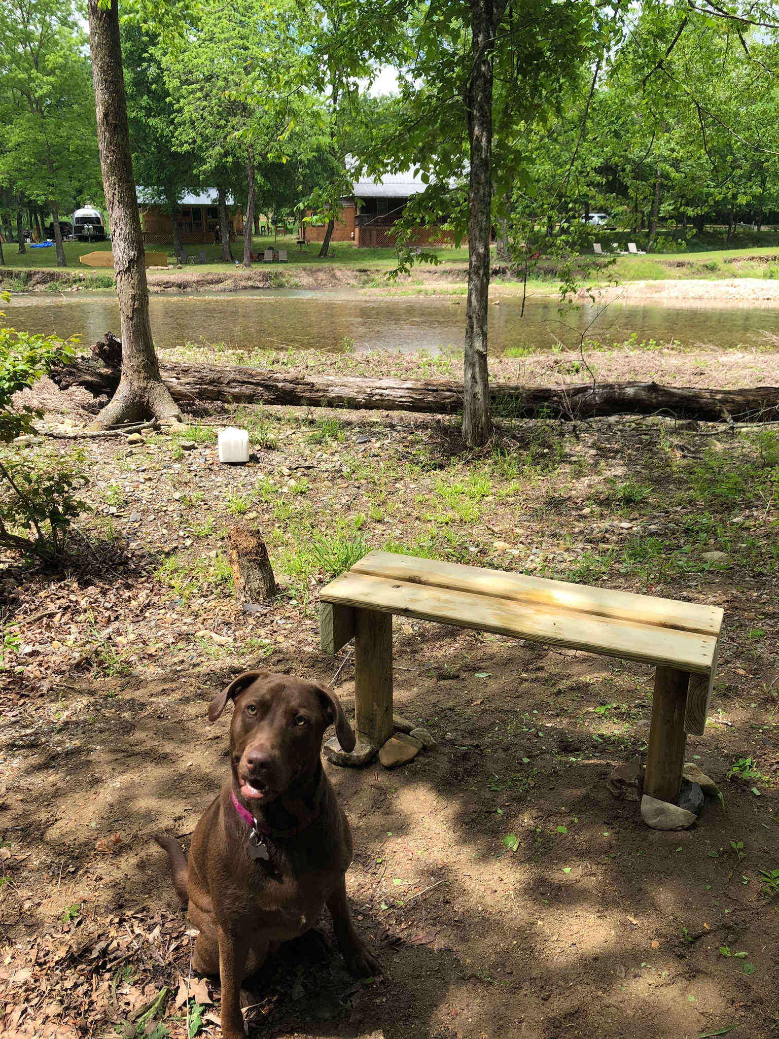 Collier Creek Cabin’s