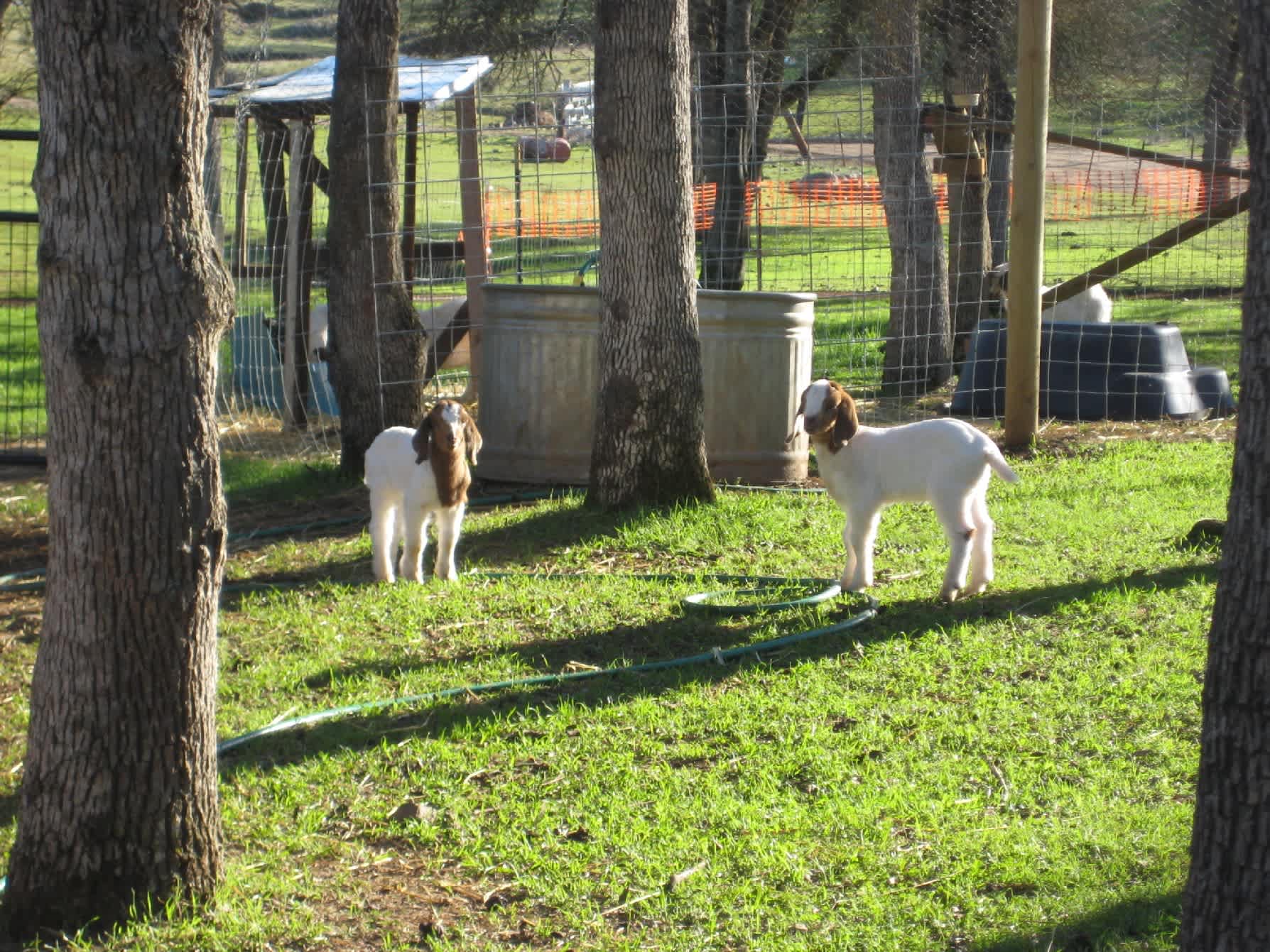 Trank Family Farm and Gold site