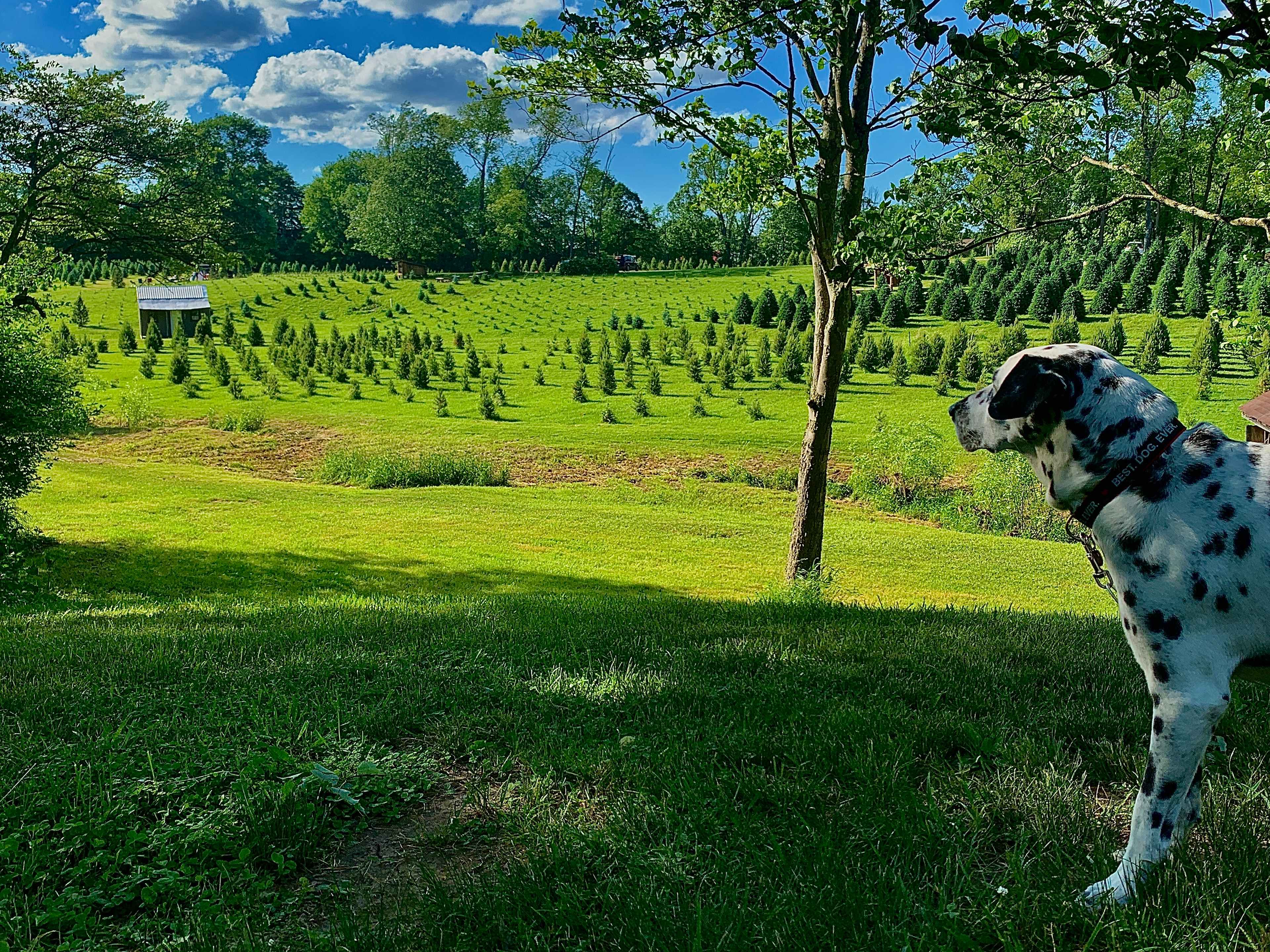 Camping at Heritage Farms